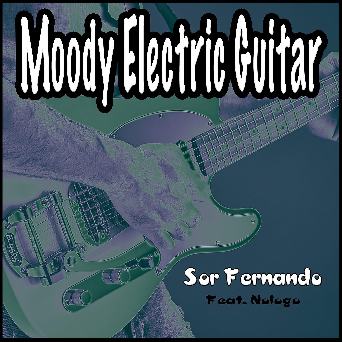 Постер альбома Moody Electric Guitar