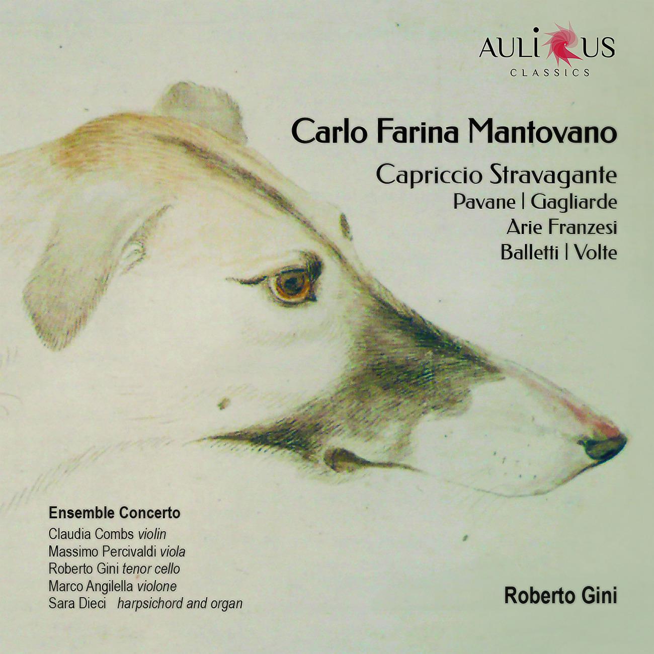 Постер альбома Carlo Farina Mantovano: Capriccio stravagante - Pavane - Gagliarde - Arie Franzesi - Balletti - Volte