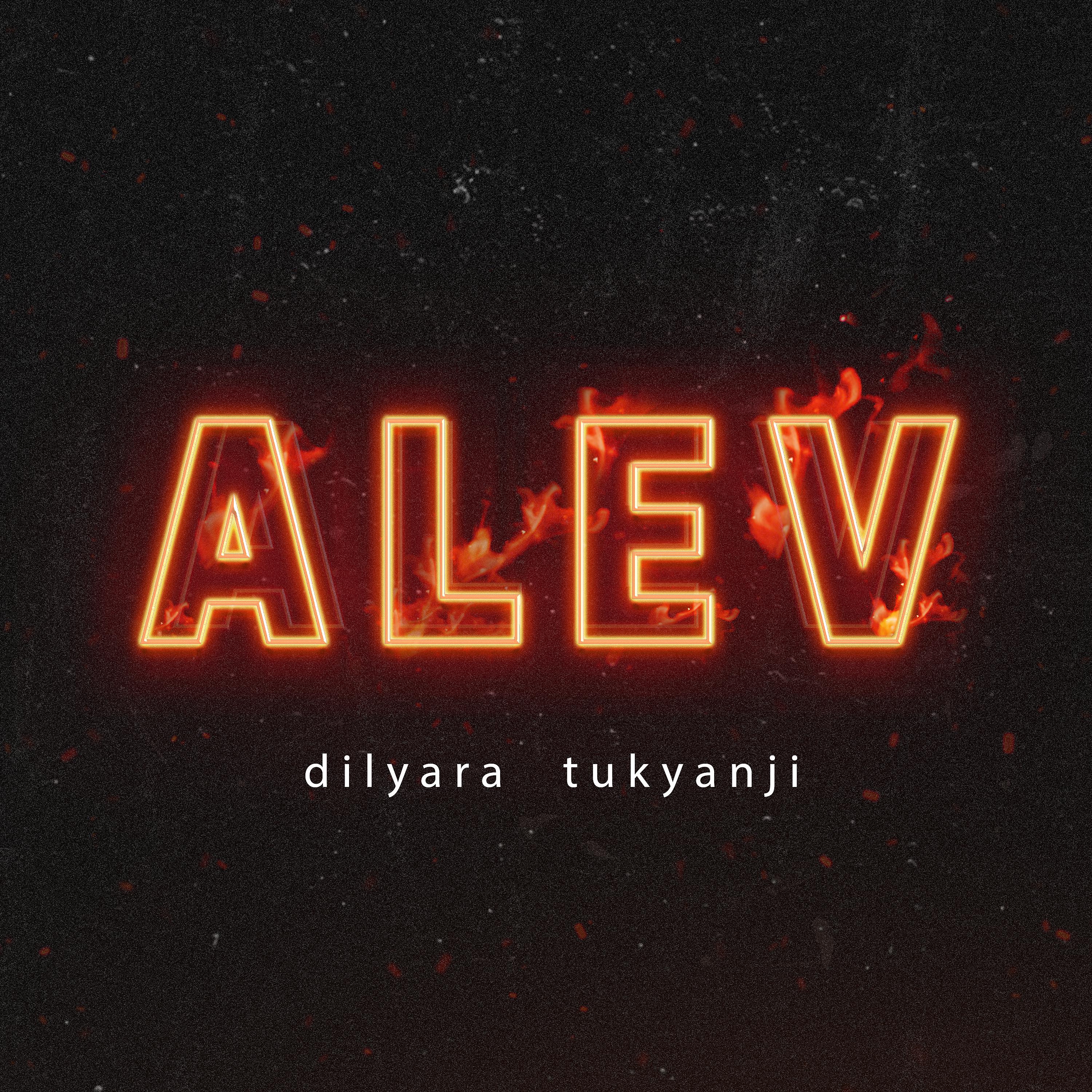 Постер альбома Alev