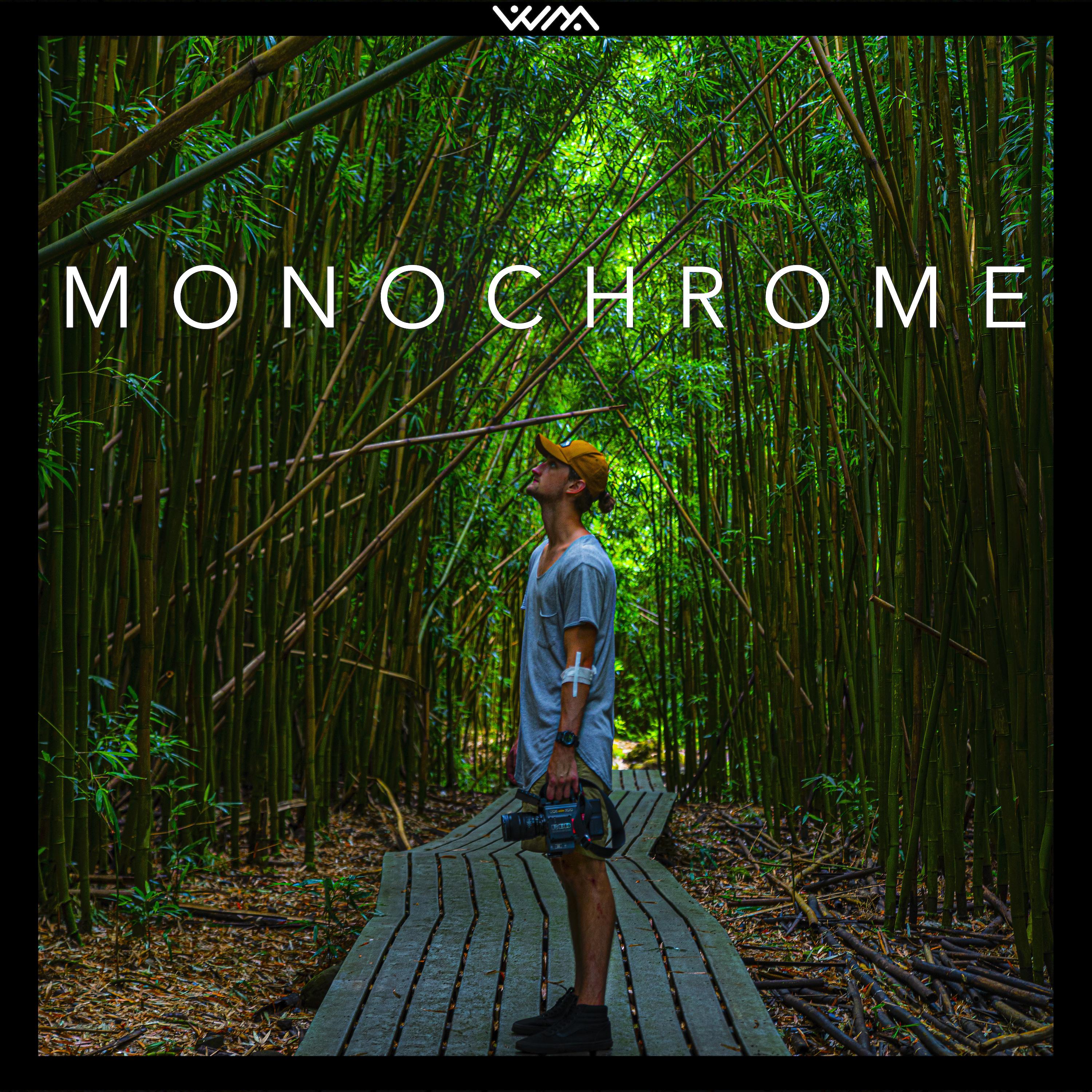 Постер альбома Monochrome