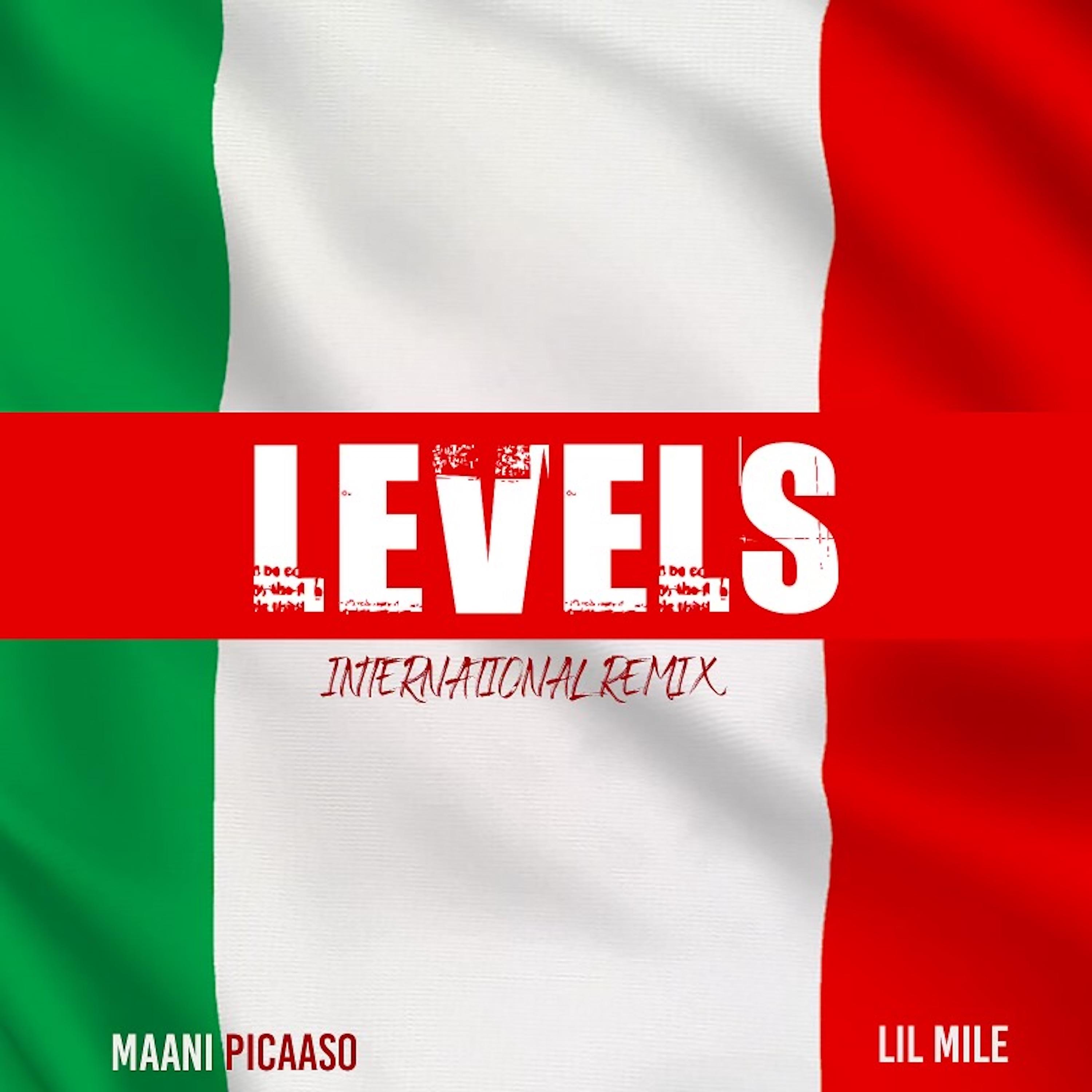 Постер альбома LEVELS (International Remix)