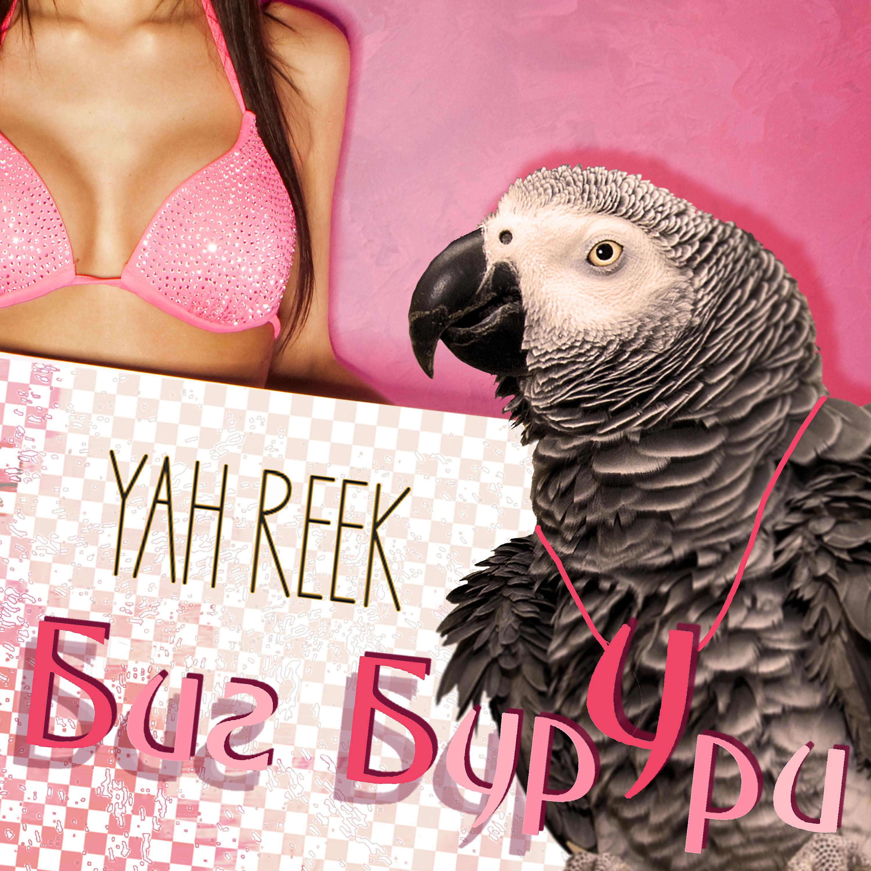 Постер альбома Биг Бурури