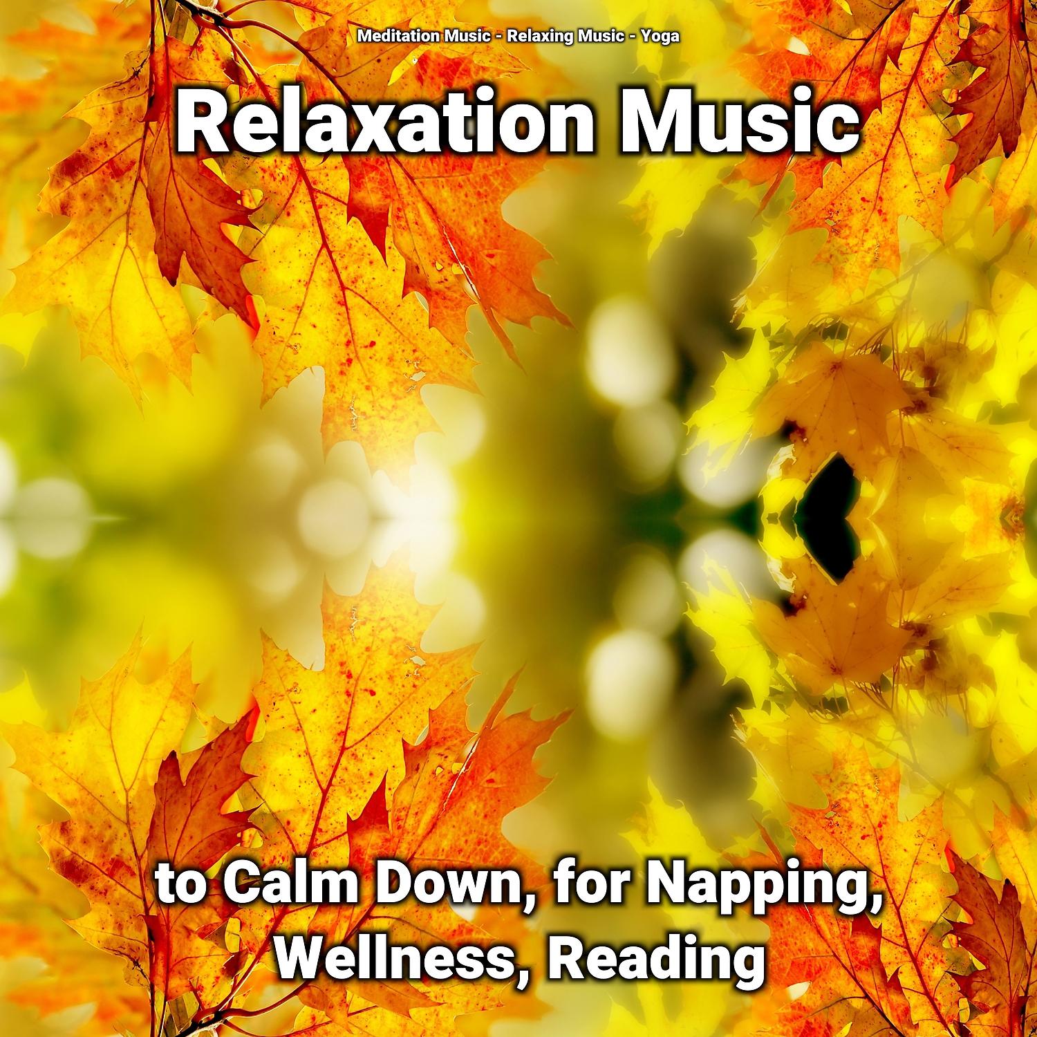Постер альбома Relaxation Music to Calm Down, for Napping, Wellness, Reading