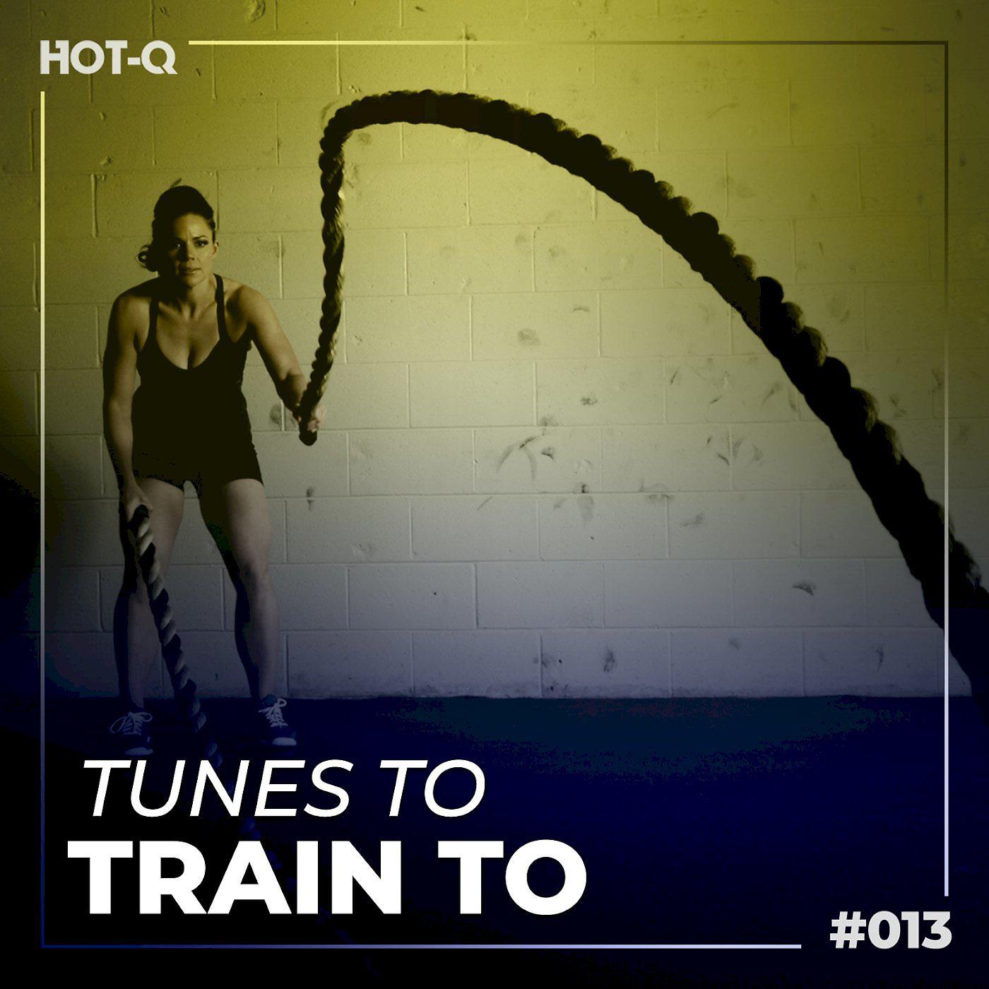 Постер альбома Tunes To Train To 013