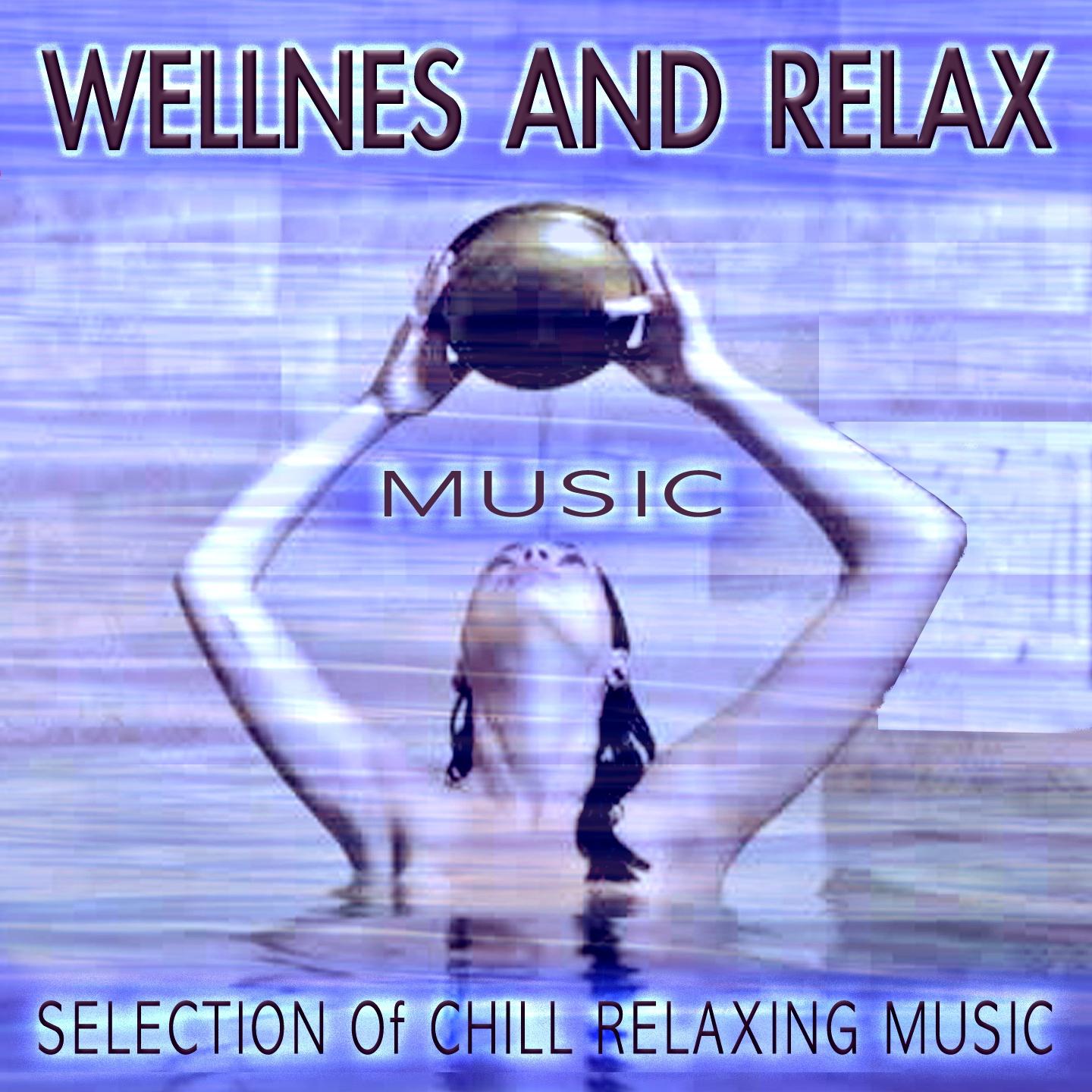 Постер альбома Wellnes and Relax Music