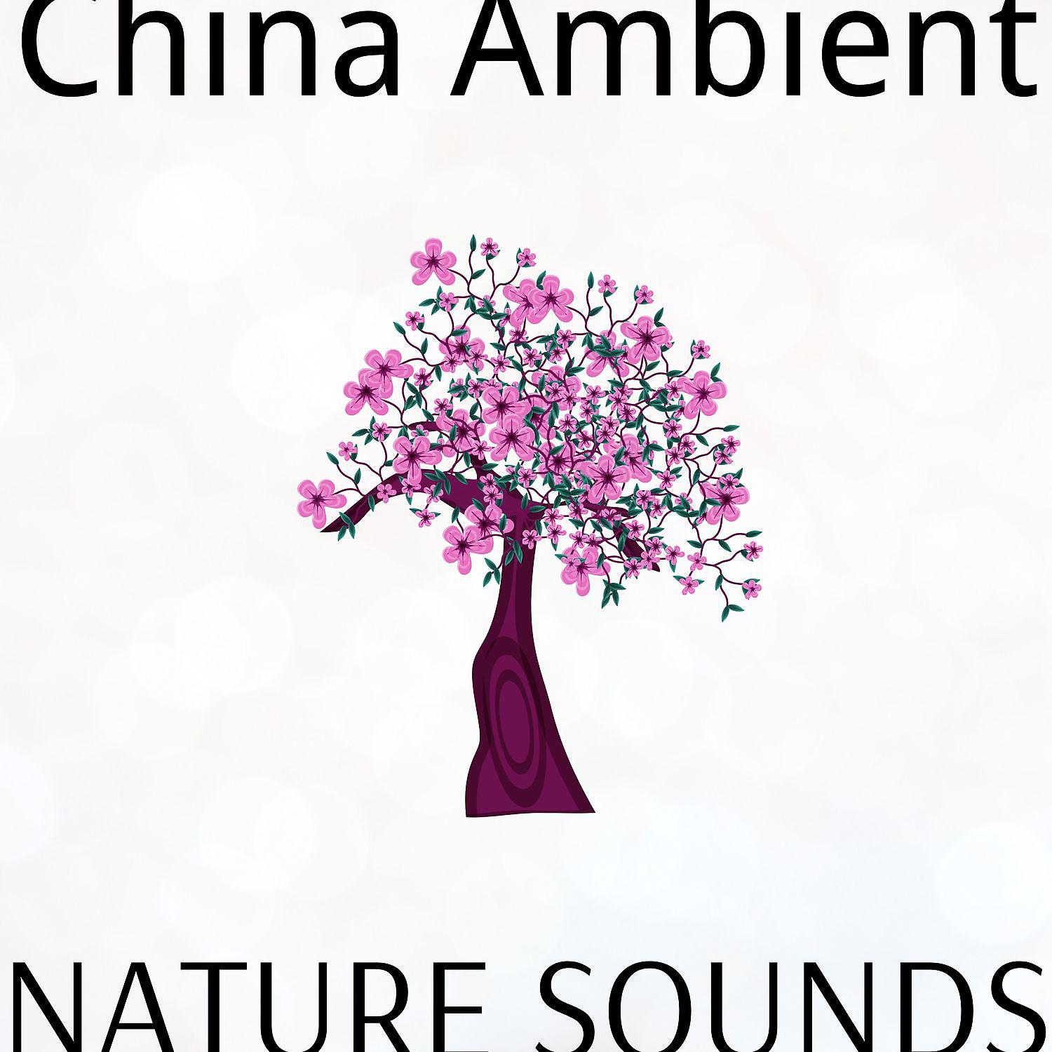 Постер альбома China Ambient: Nature Sounds