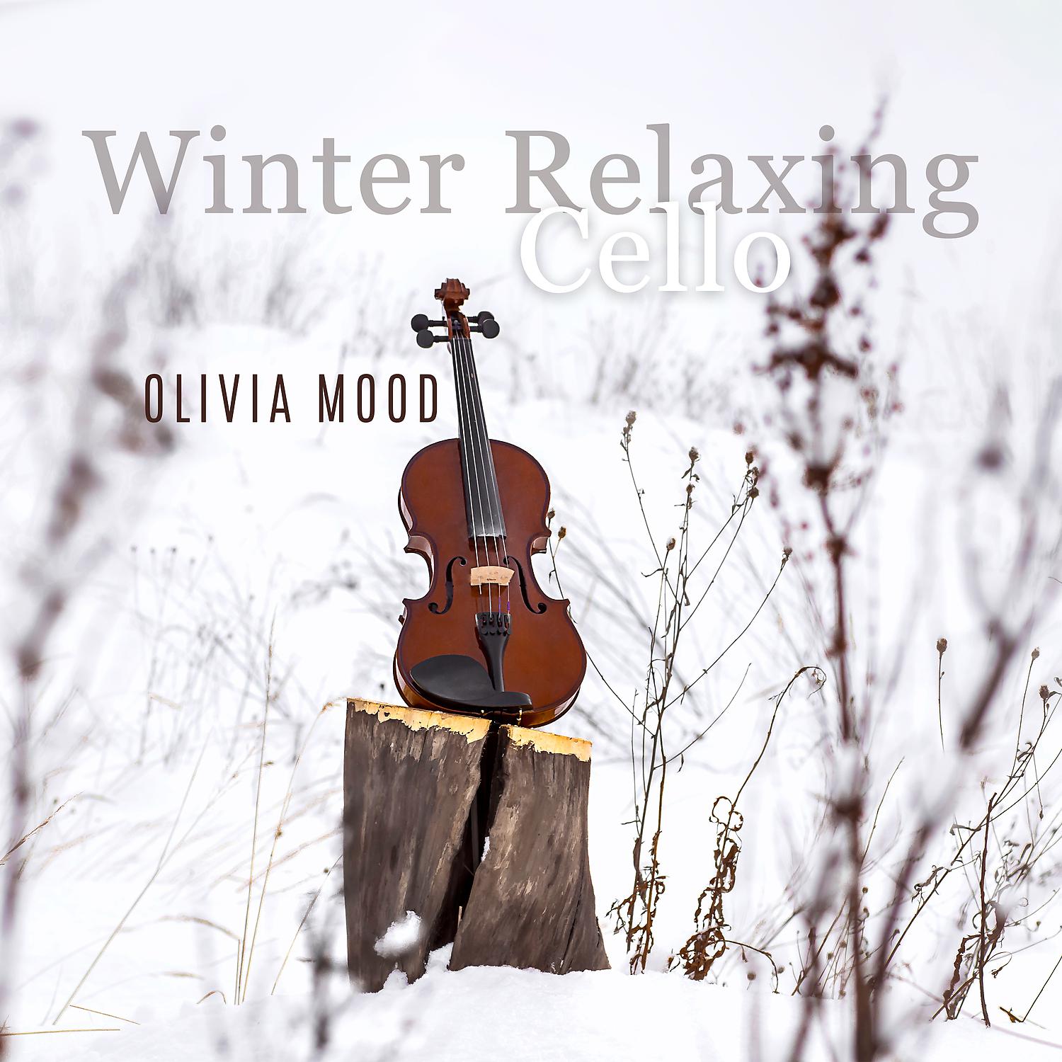 Постер альбома Winter Relaxing Cello: Instrumental Soothing Music