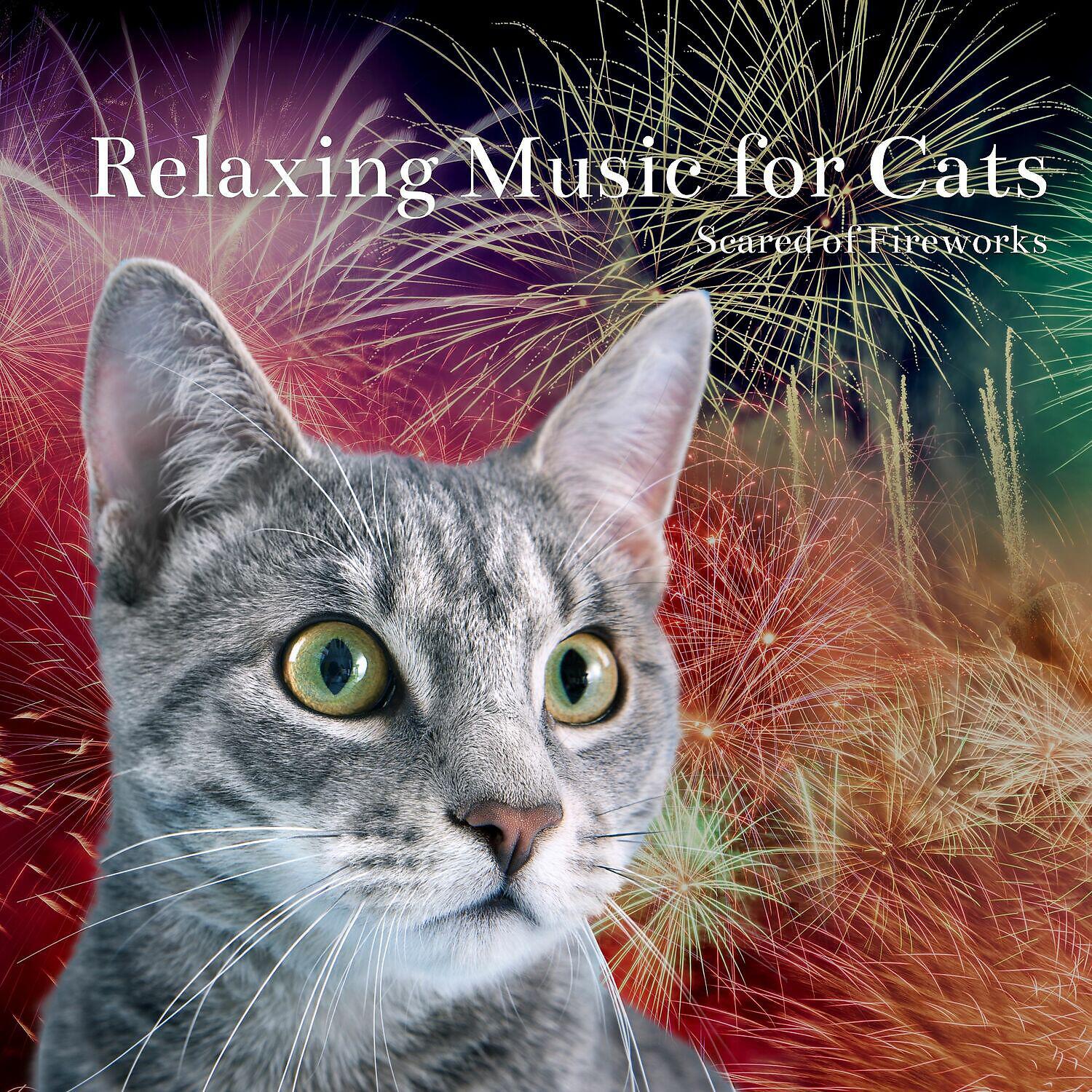 Cat Music Relaxation - Music Cats Love