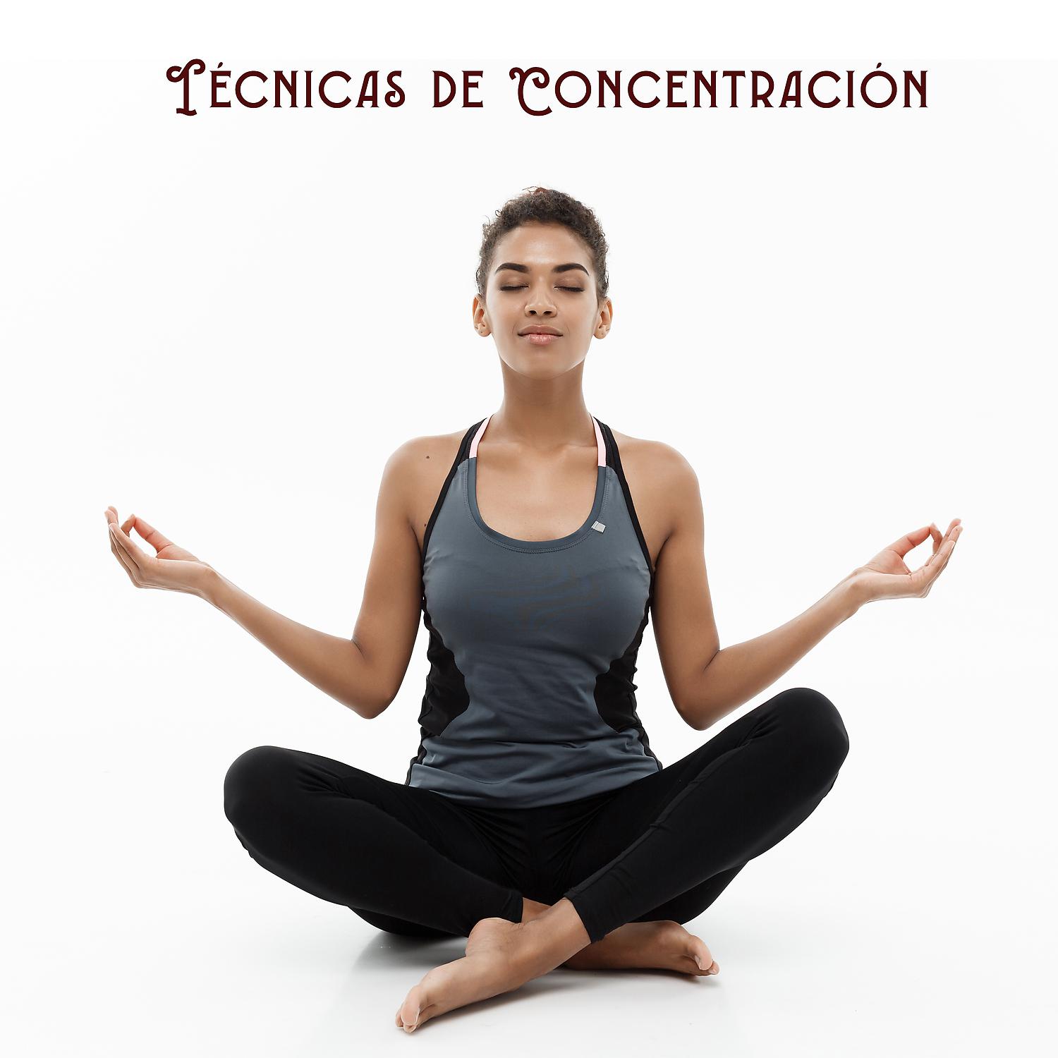 Постер альбома Técnicas de Concentración: 432 Hz para Dormir, Yoga Sexualidad