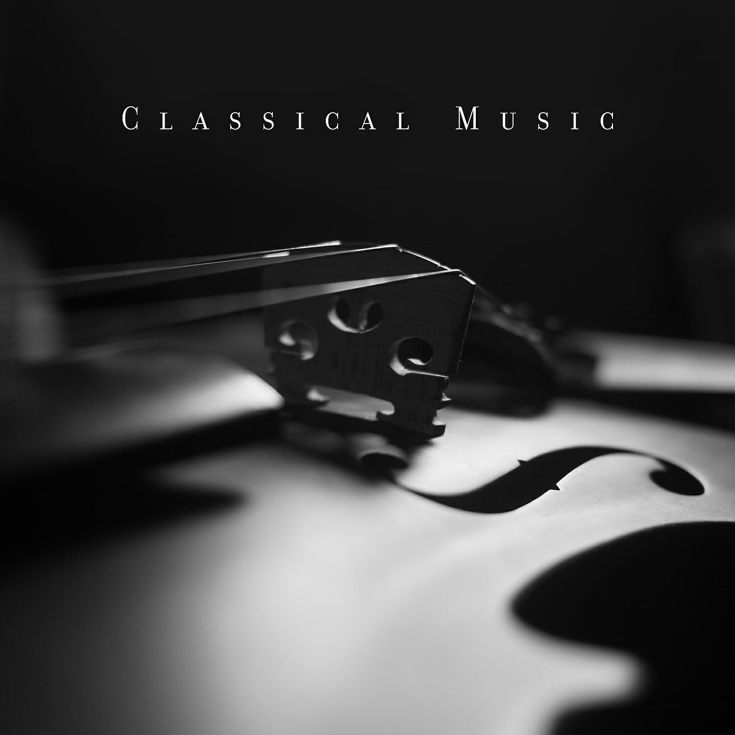 Saint-Petersburg Orchestra - Strauss II - New Pizzicato Polka
