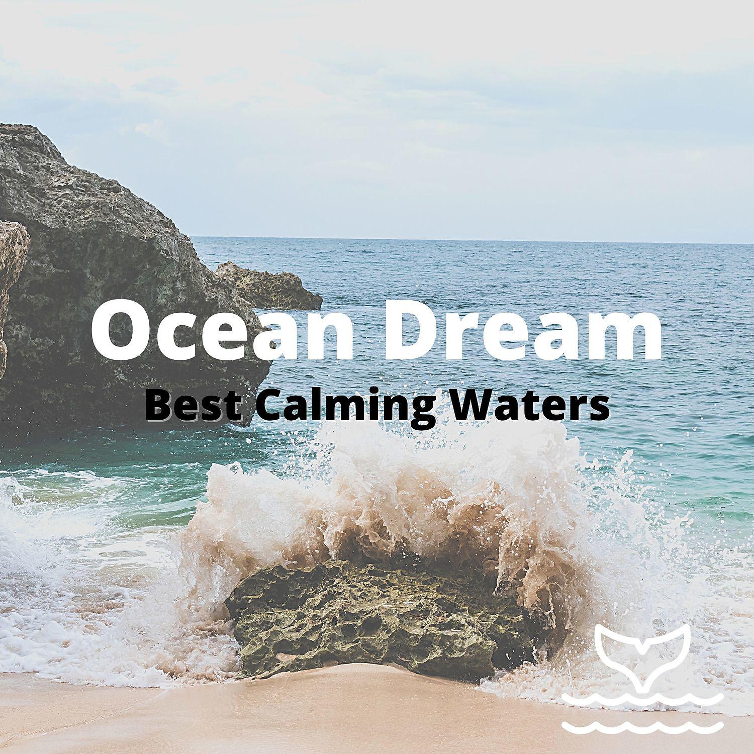 Постер альбома Ocean Dream - Best Calming Waters
