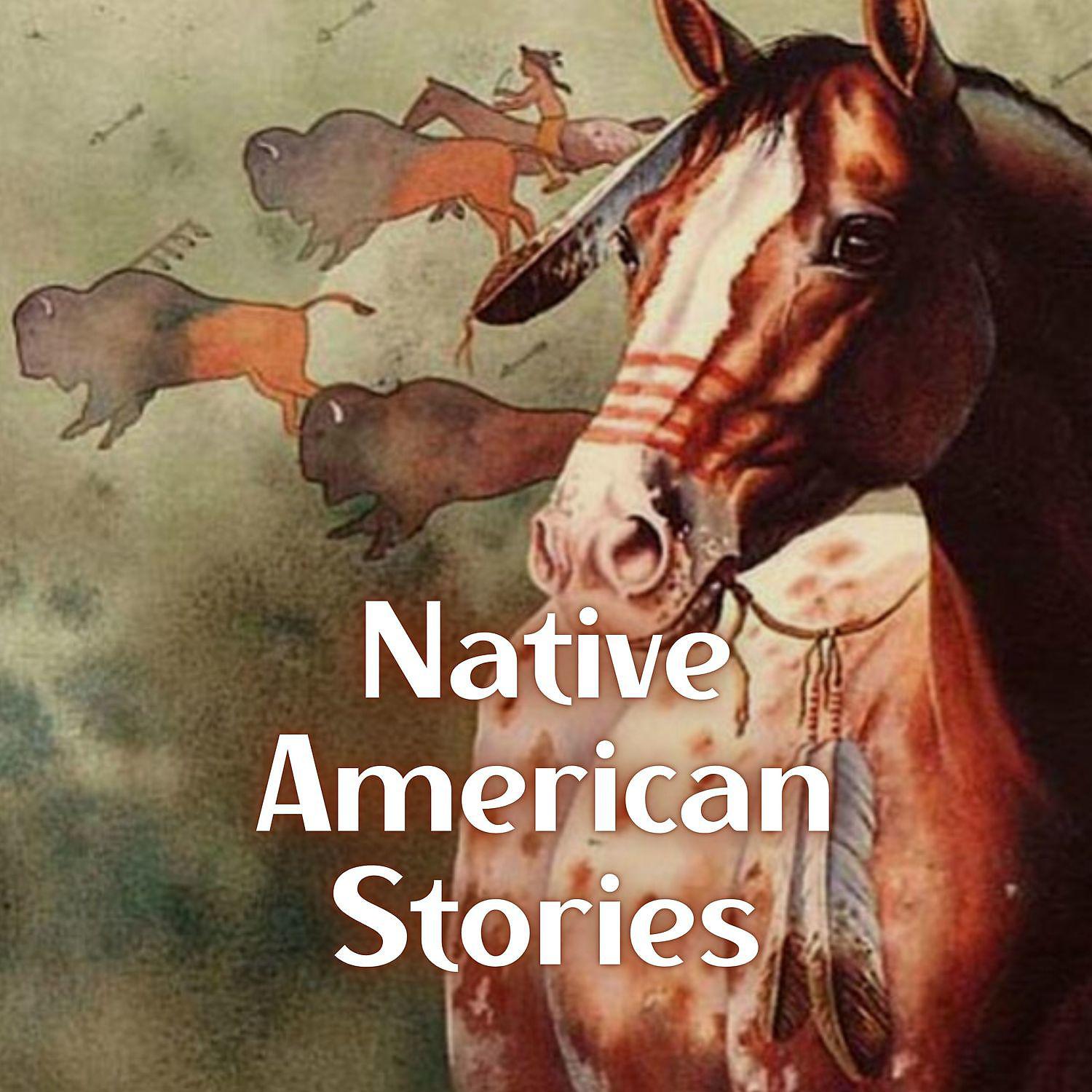 Постер альбома Native American Stories