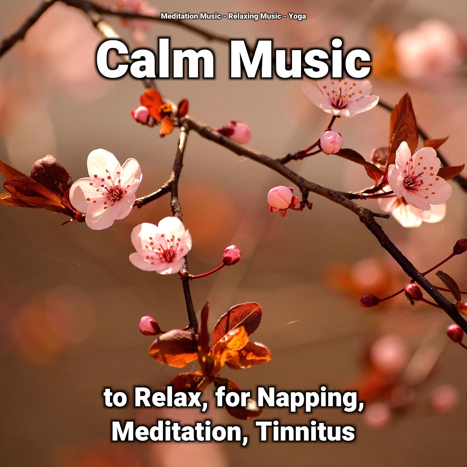 Постер альбома Calm Music to Relax, for Napping, Meditation, Tinnitus