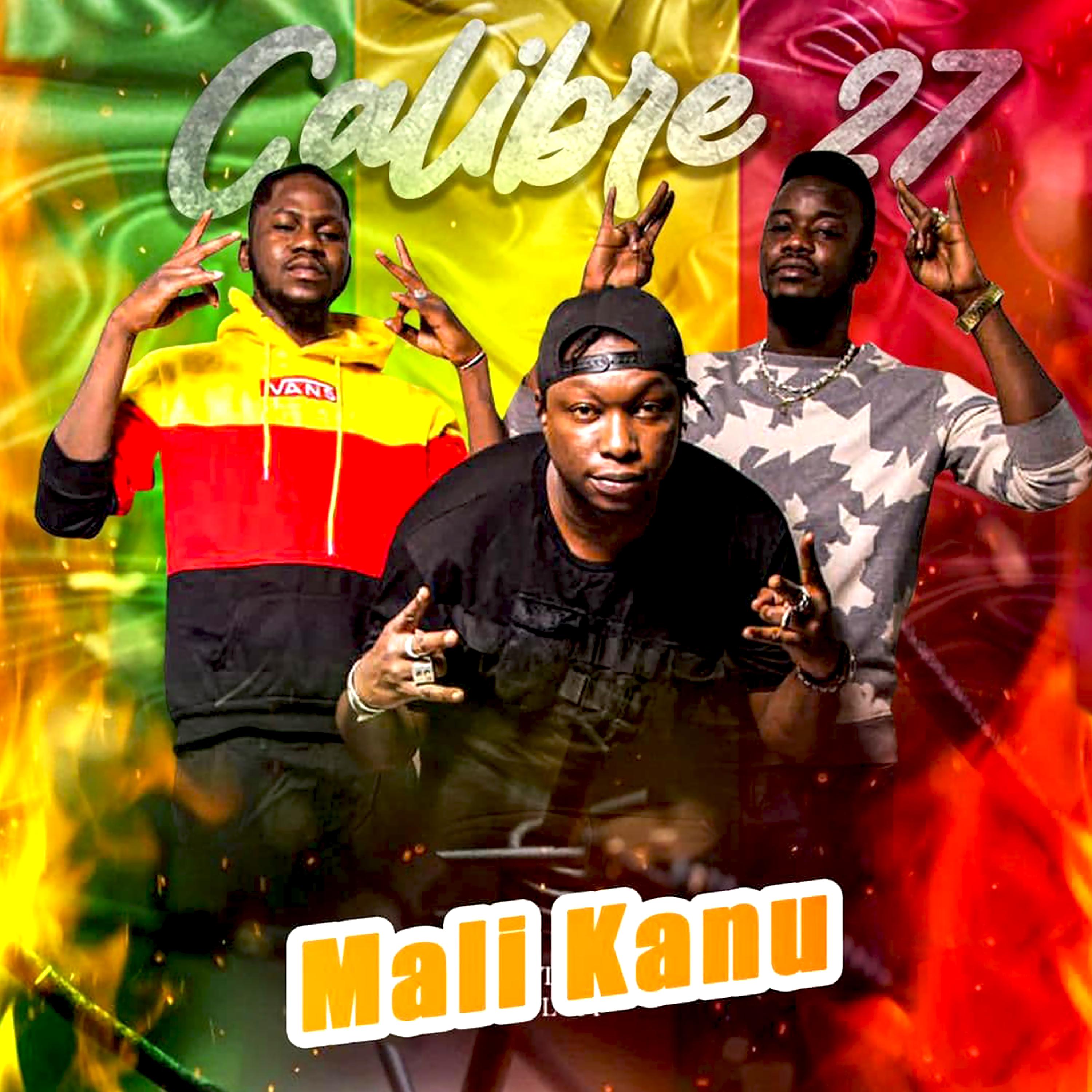 Постер альбома Mali Kanu