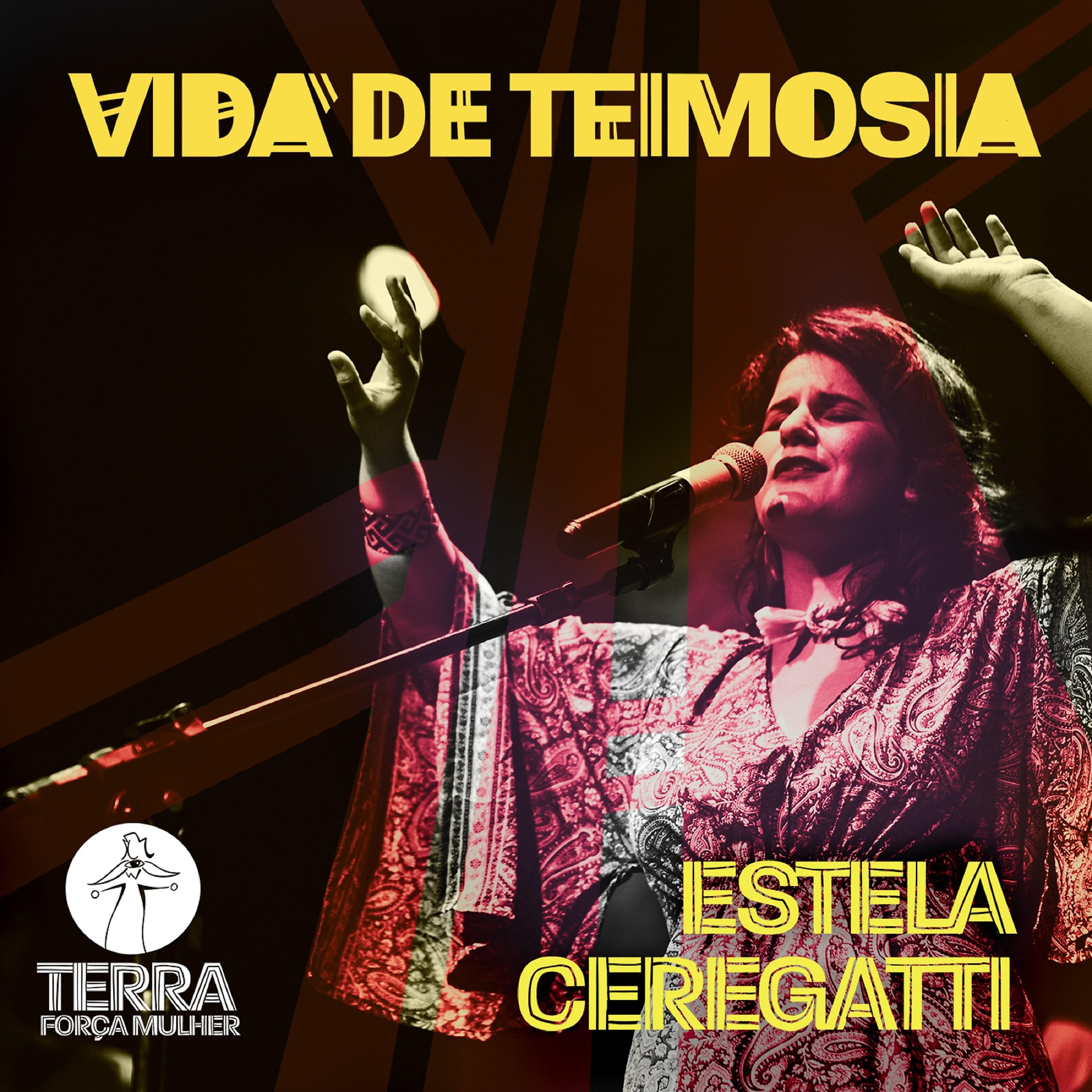 Постер альбома Vida de Teimosia