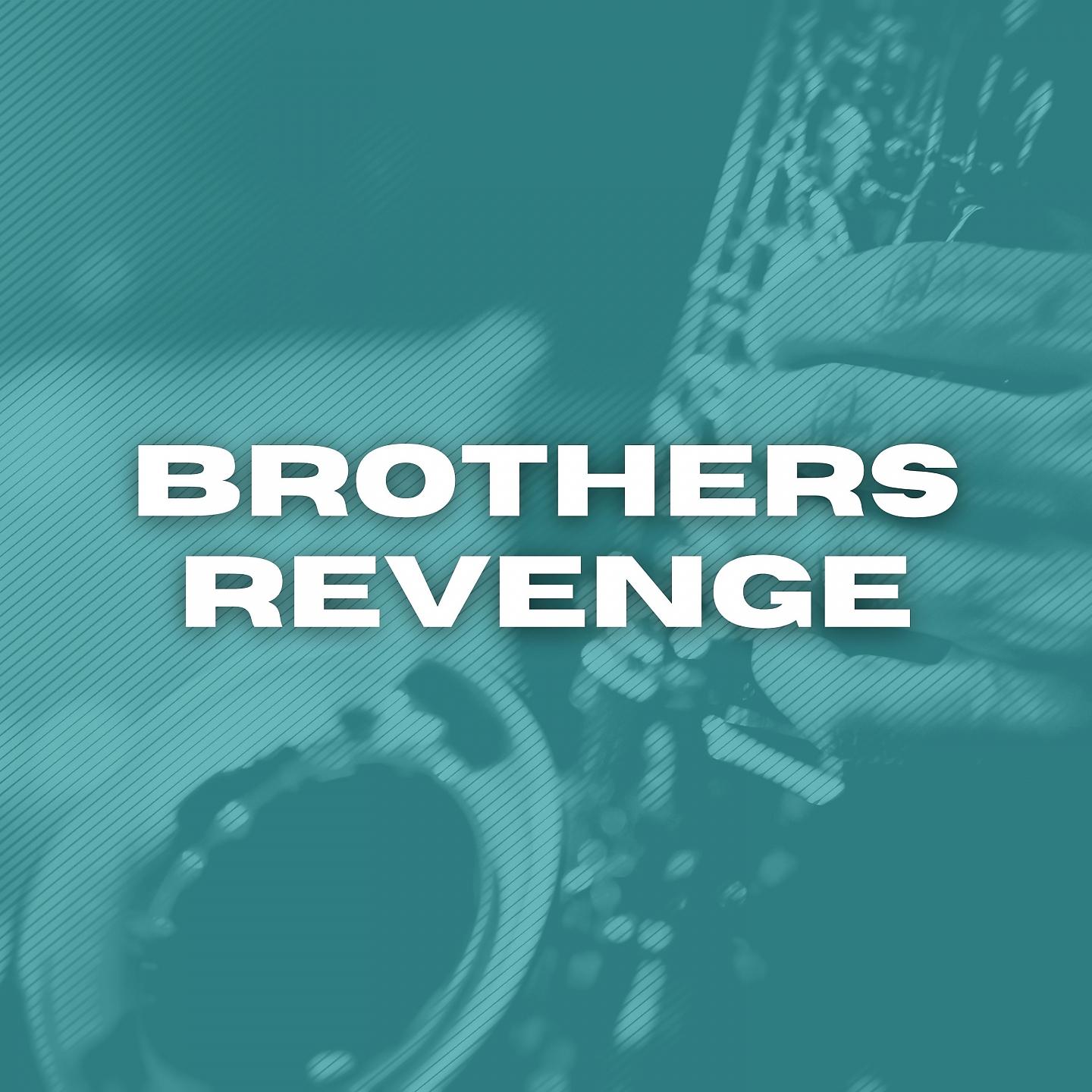 Постер альбома Brothers Revenge