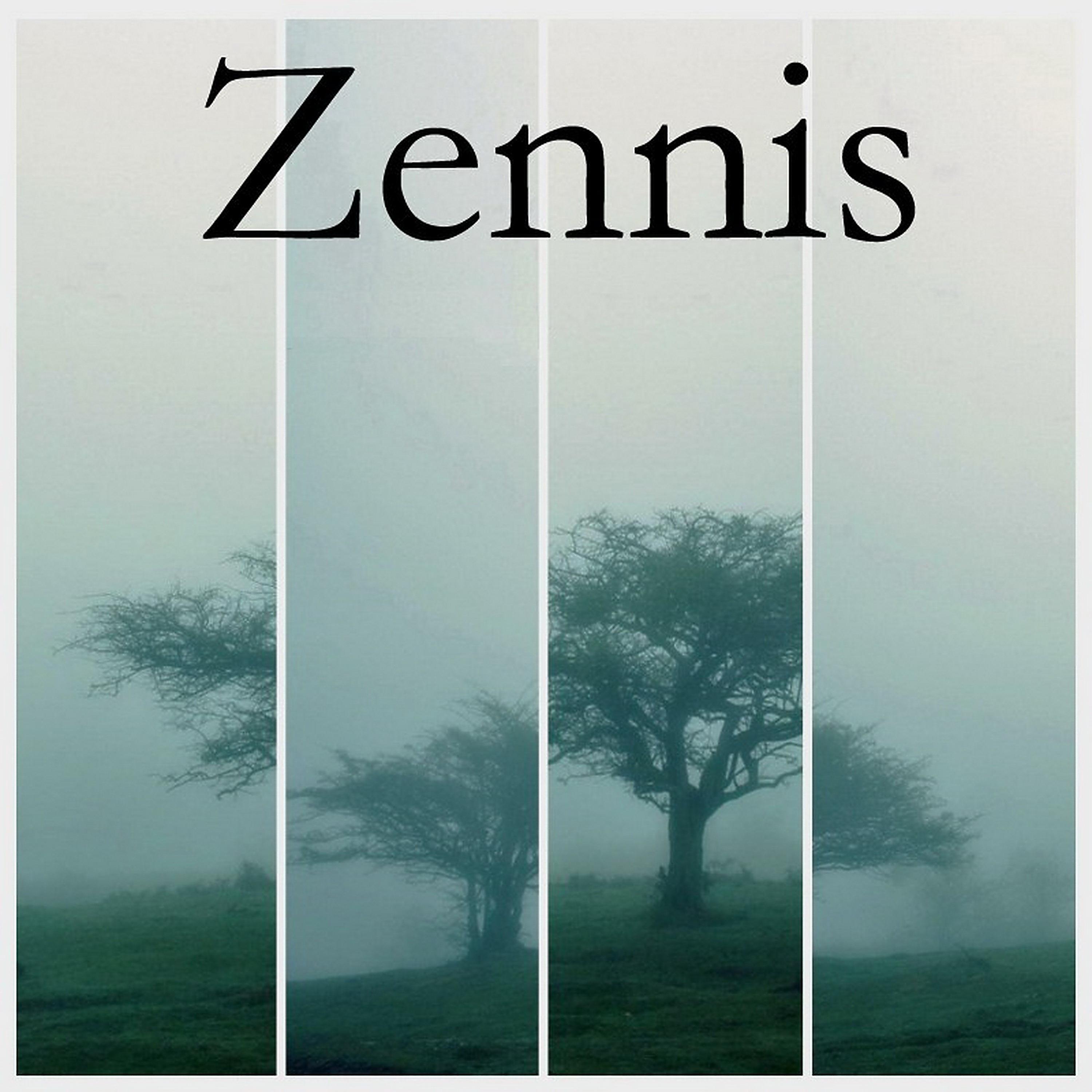 Постер альбома Zennis
