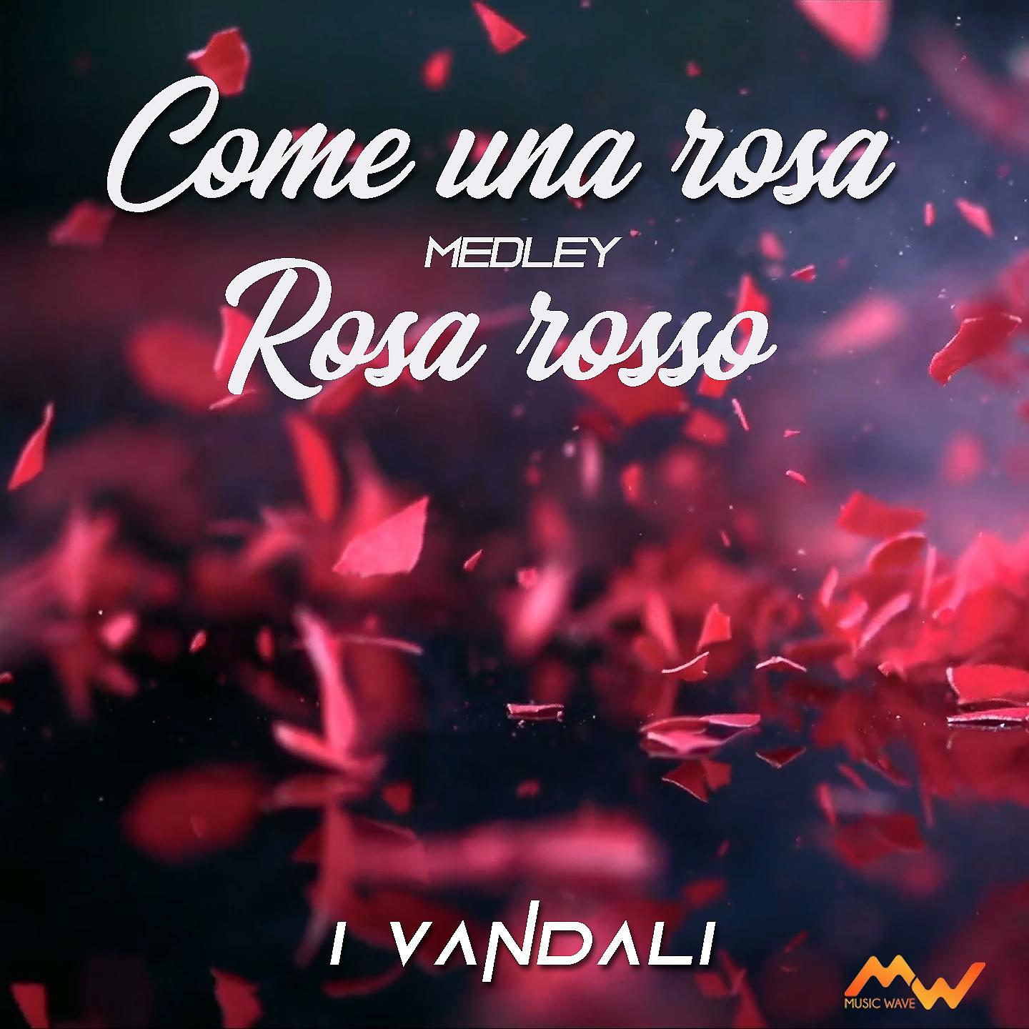 Постер альбома Come una rosa / Rosa rosso