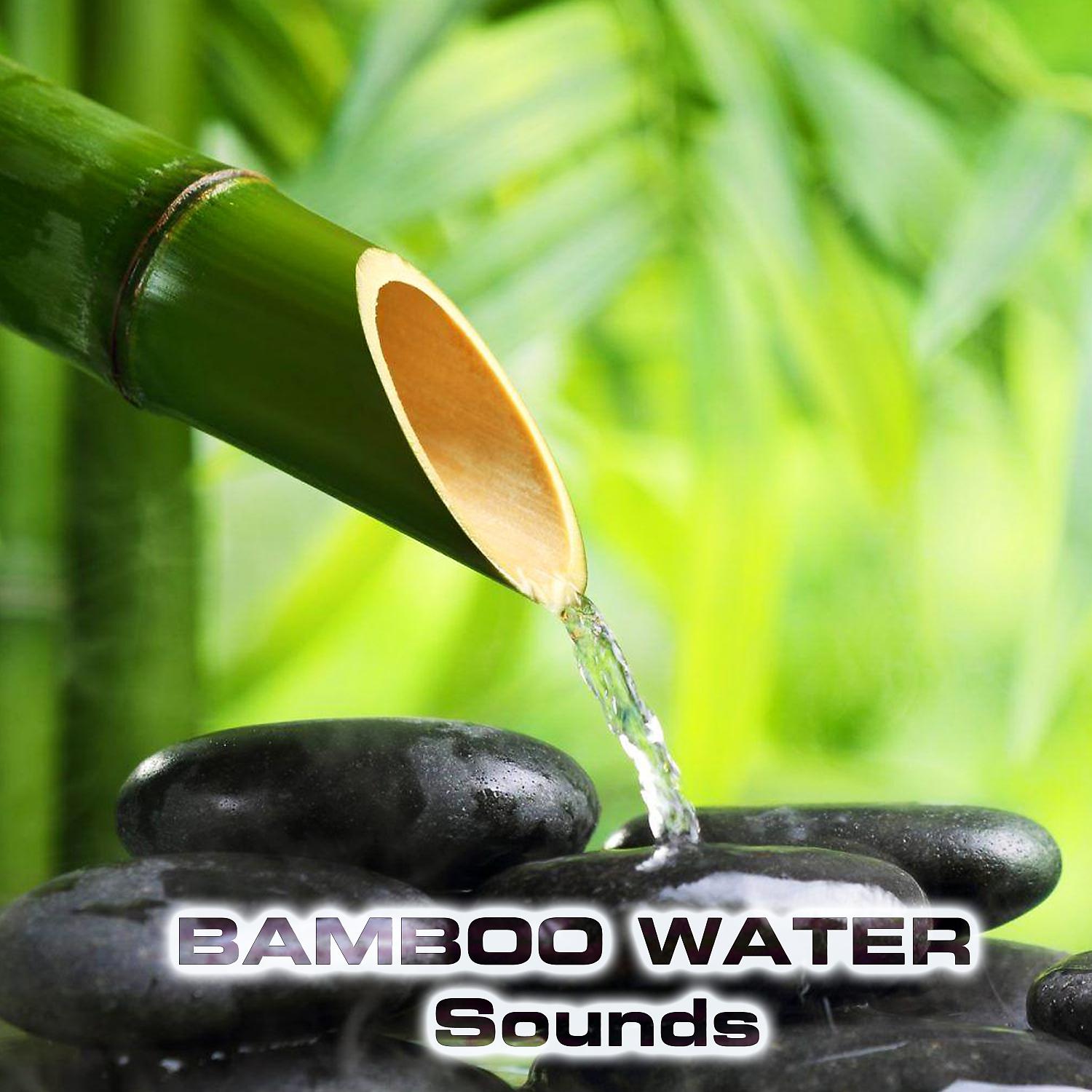 Постер альбома Bamboo Water Sounds (feat. Water Atmosphere Sounds, Water Healing FX, Water Sleep Sound, Water White Noise & Atmospheres Sounds)