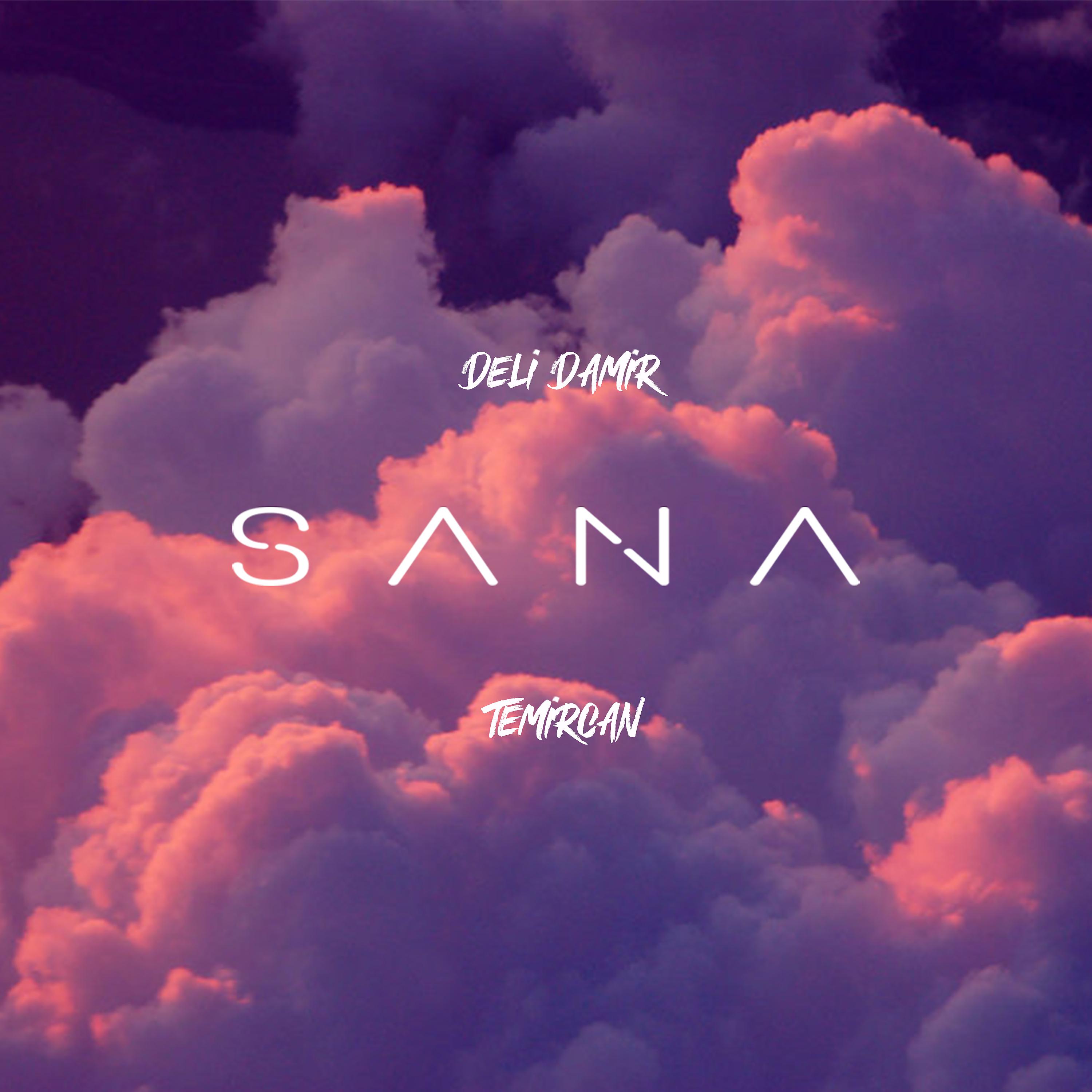 Постер альбома Sana