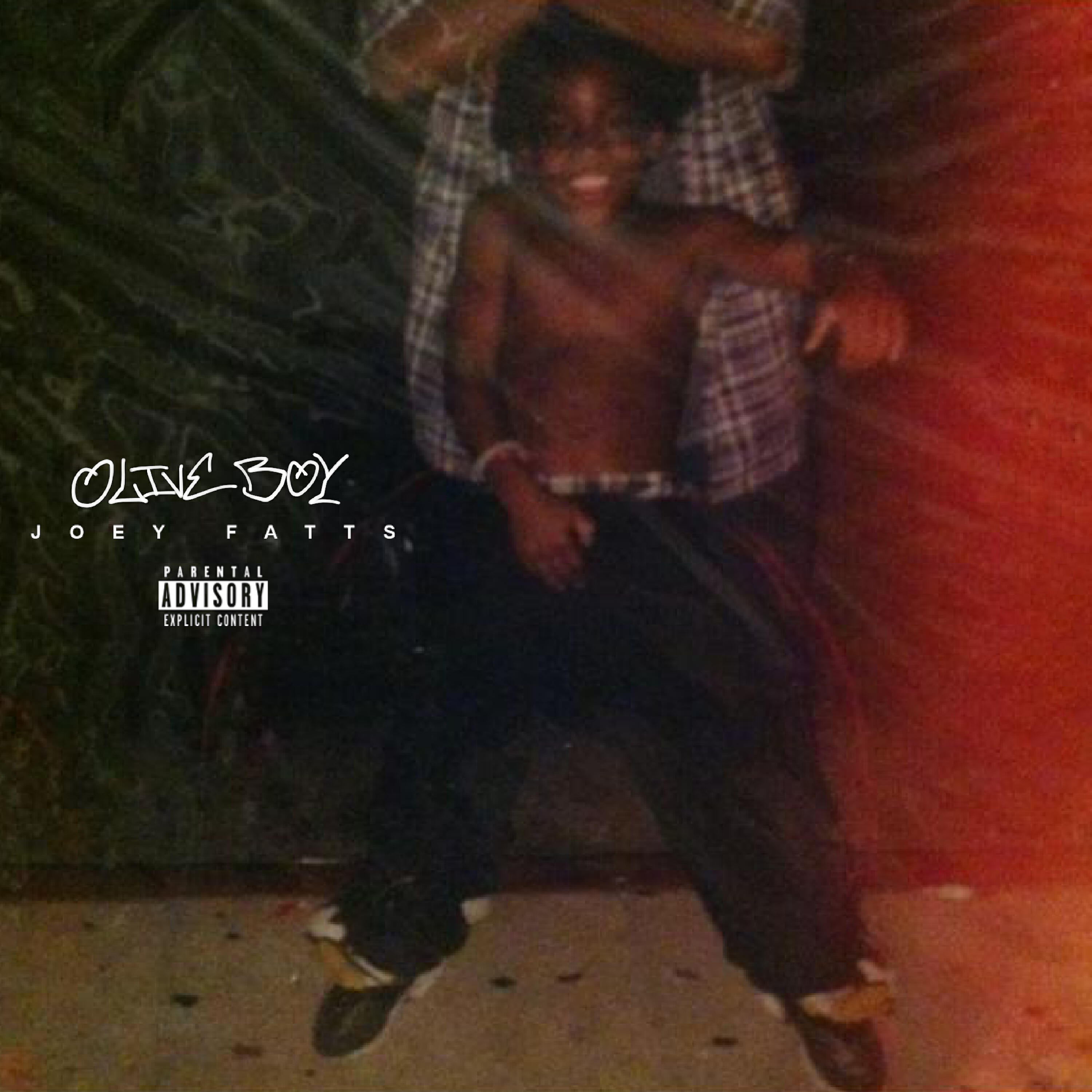 Joey Fatts - Havin My Way (feat. Vince Staples)