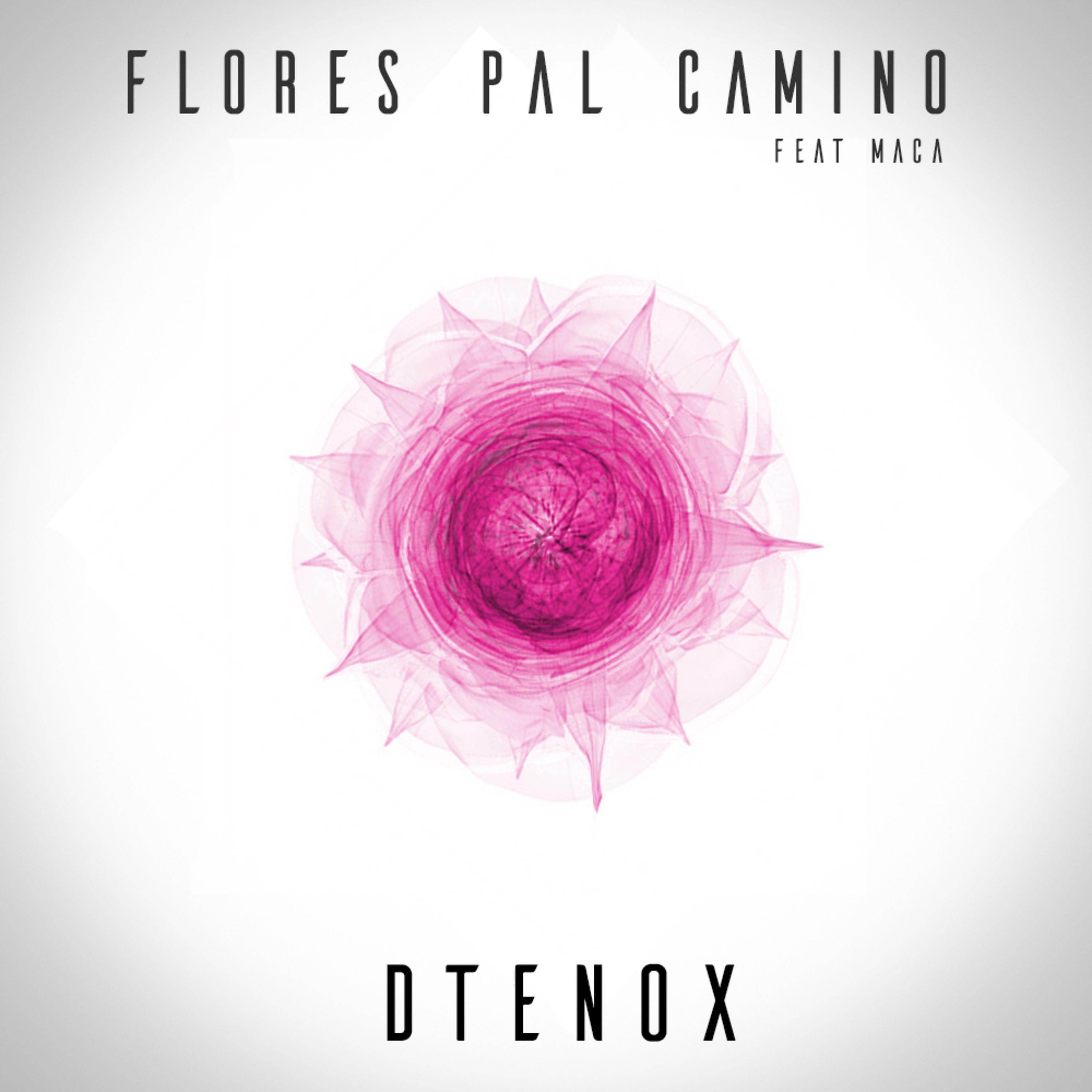 Постер альбома Flores Pal Camino