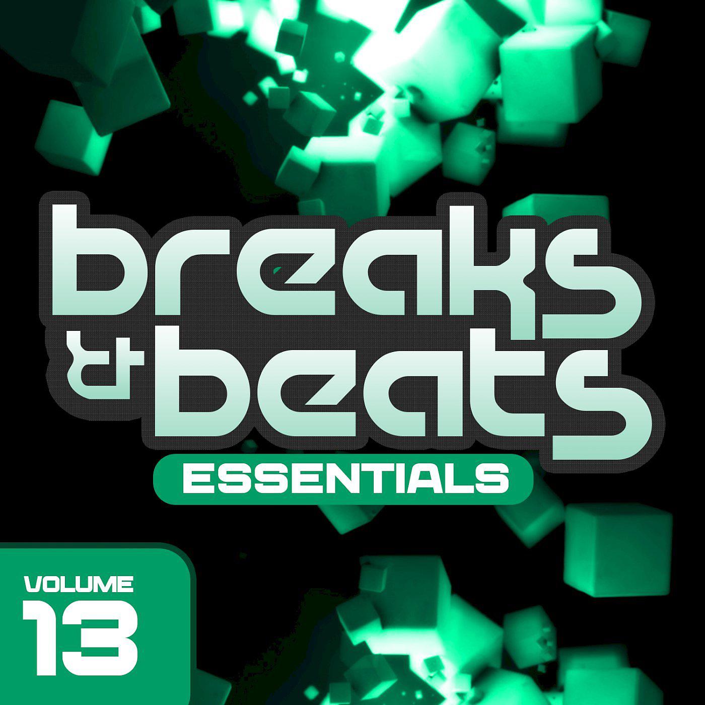 Постер альбома Sensational Breaks & Beats, Vol. 13