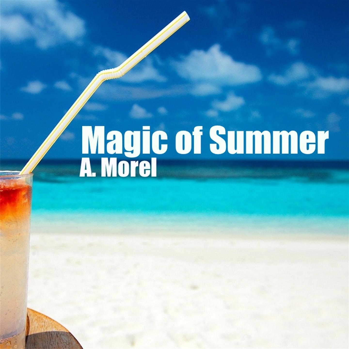 Постер альбома Magic of Summer