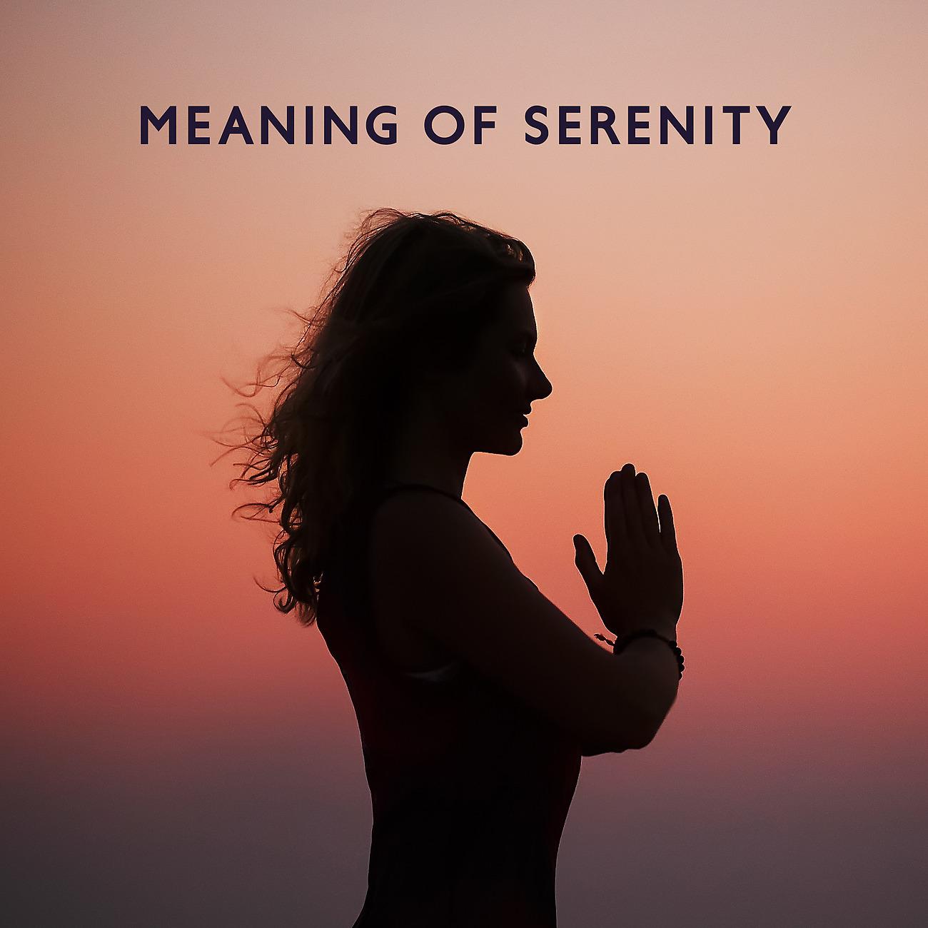 Постер альбома Meaning of Serenity