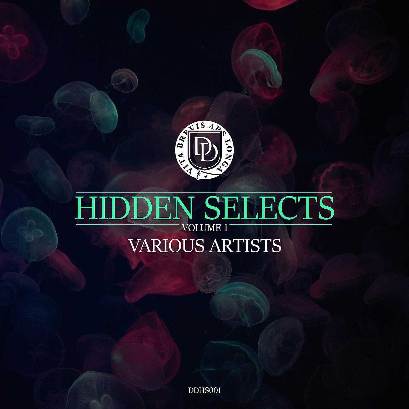 Постер альбома Hidden Selects, Vol.1