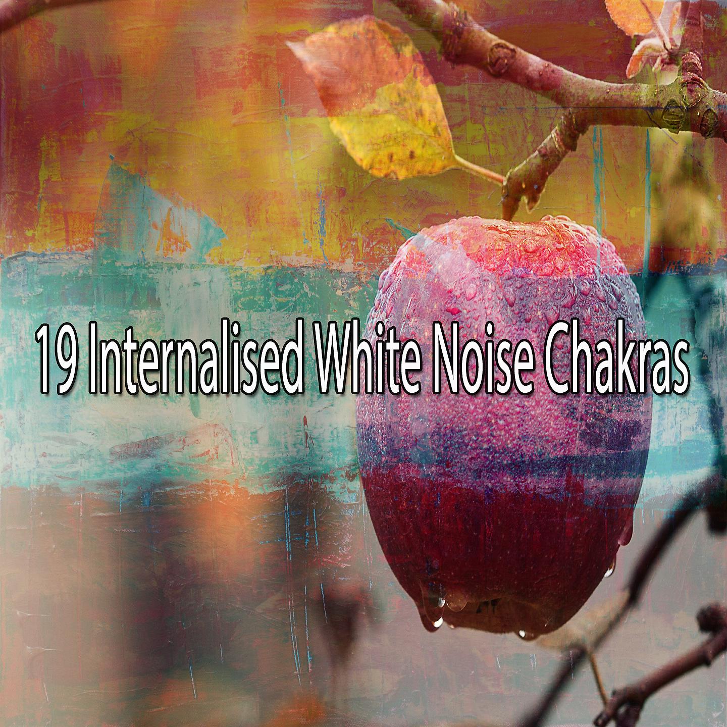 Постер альбома 19 внутренних чакр белого шума