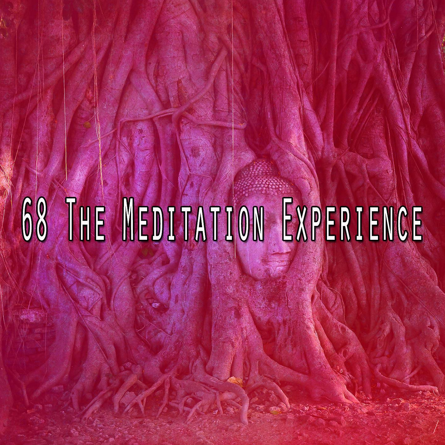 Постер альбома 68 Опыт медитации