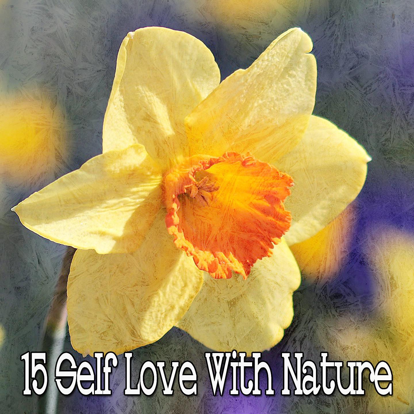 Постер альбома 15 Любовь к себе и природе