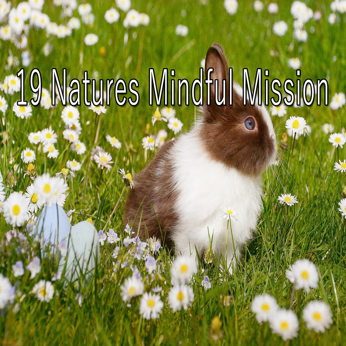 Постер альбома 19 Natures Mindful Mission