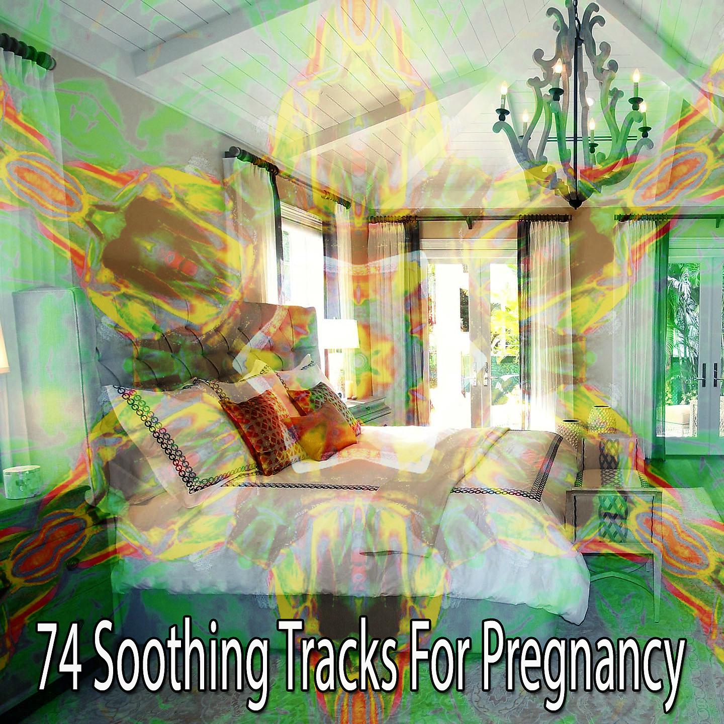 Постер альбома 74 успокаивающих средства для беременных