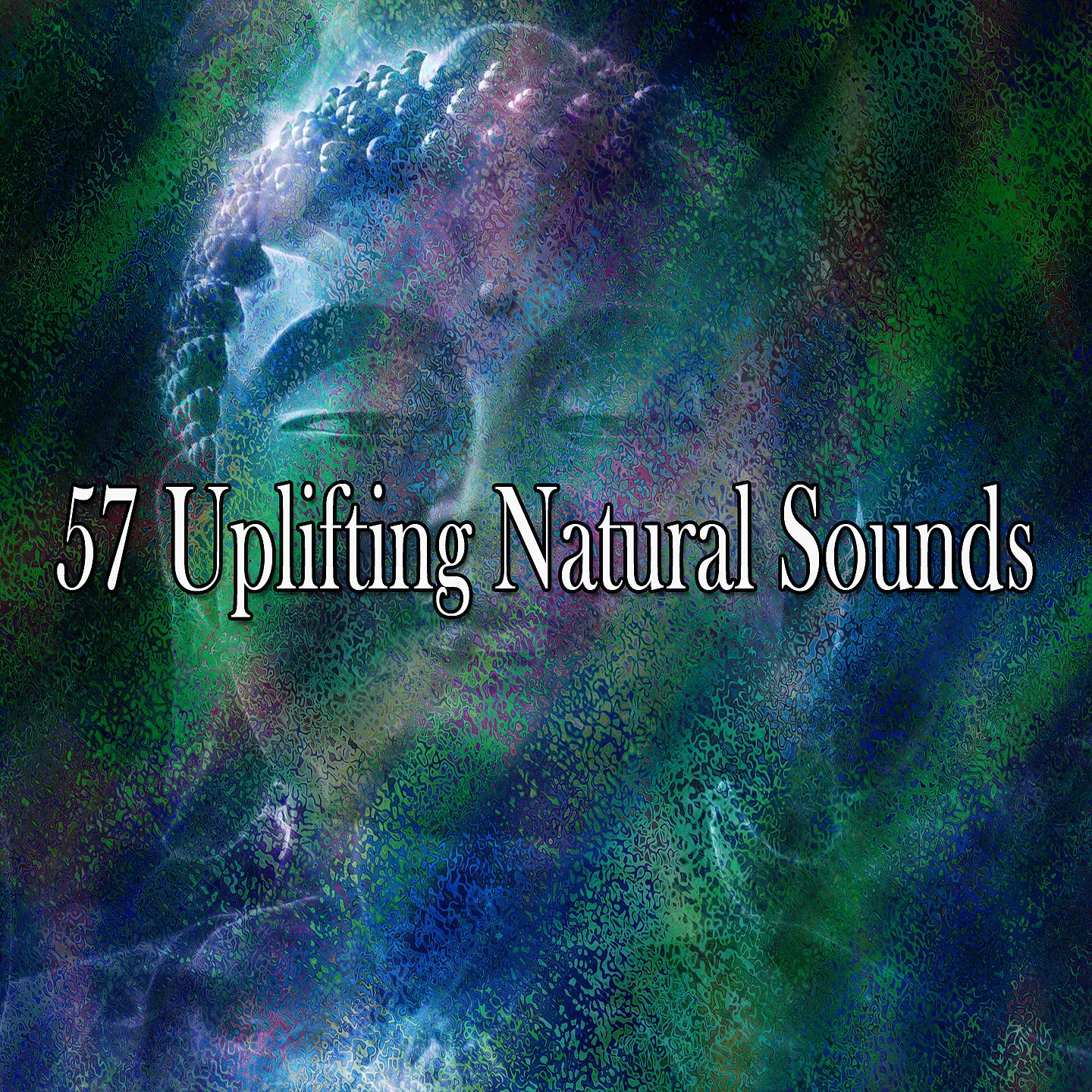Постер альбома 57 вдохновляющих естественных звуков
