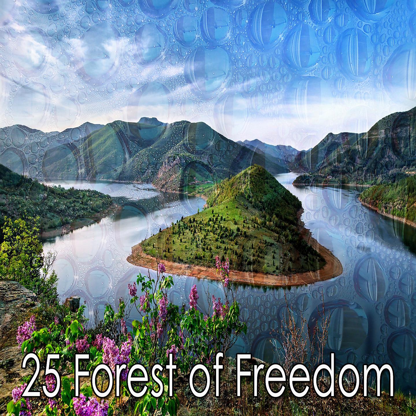 Постер альбома 25 Лес свободы