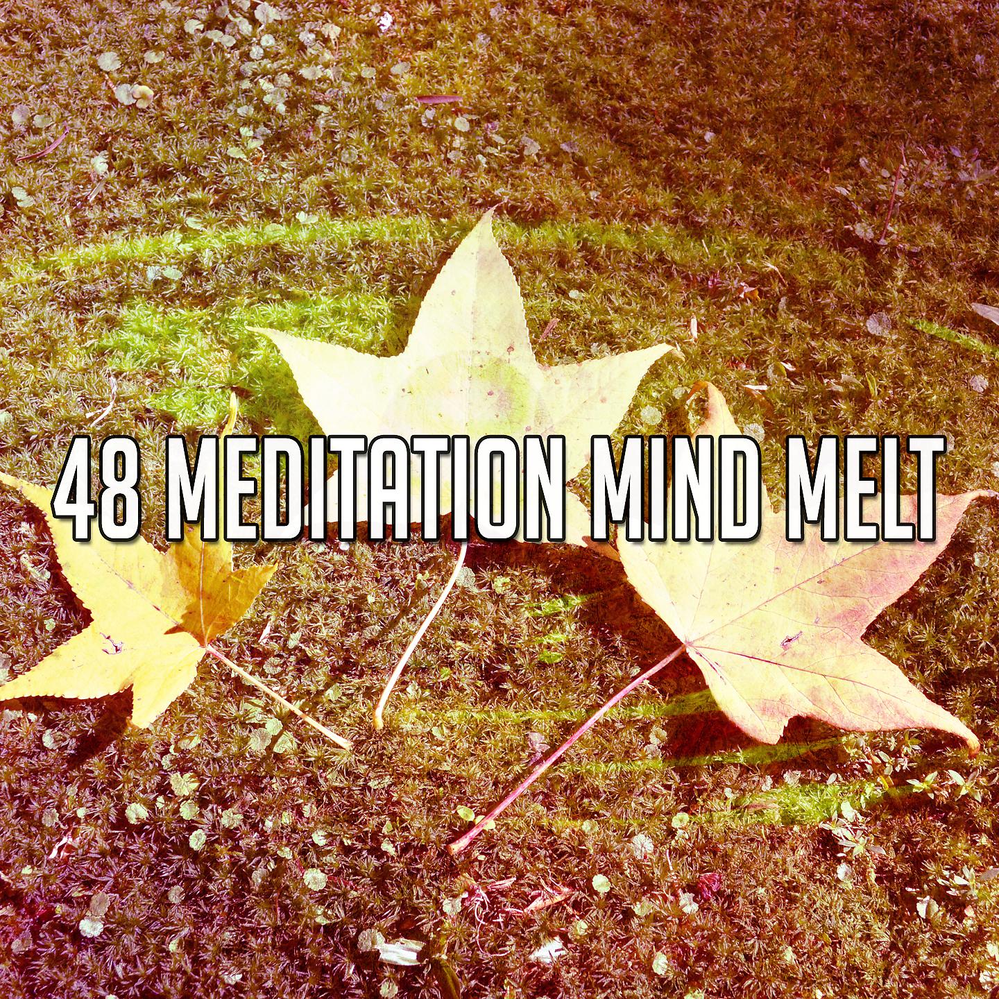 Постер альбома 48 Медитация Mind Melt