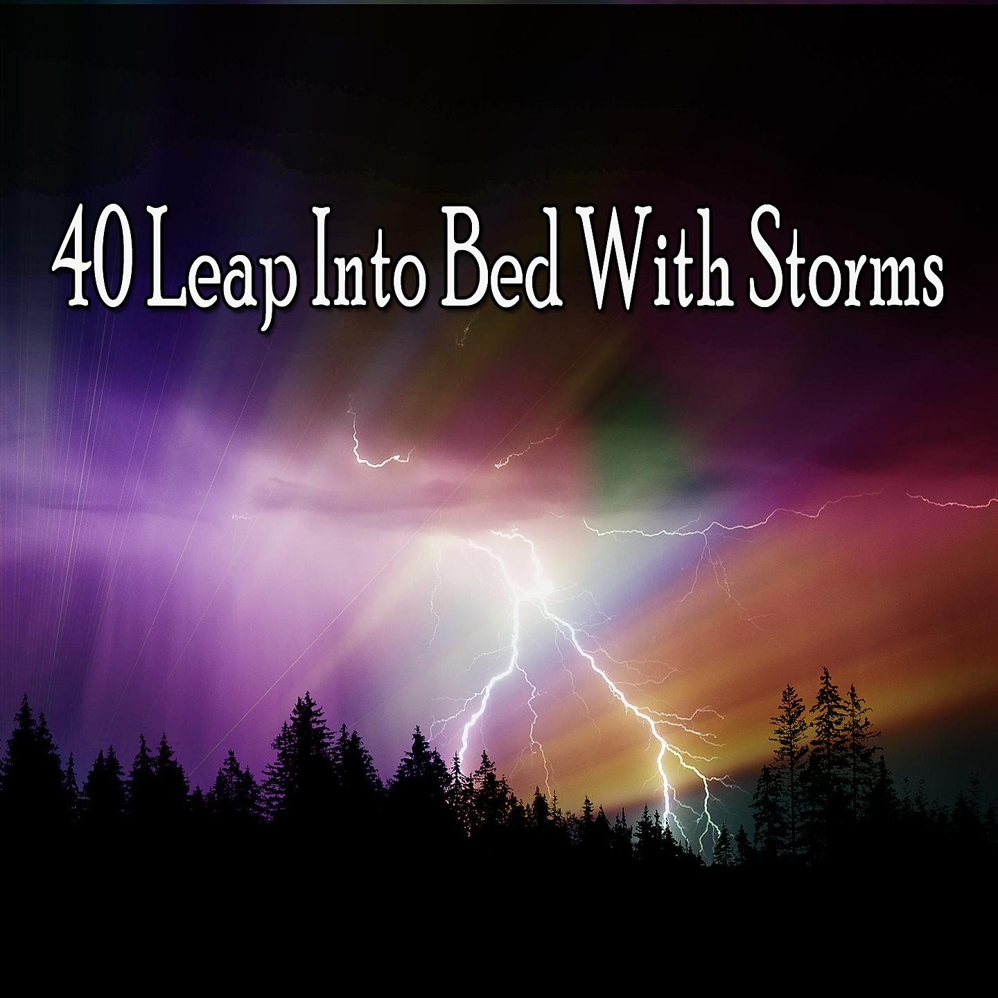 Постер альбома 40 Прыжок в постель со штормом