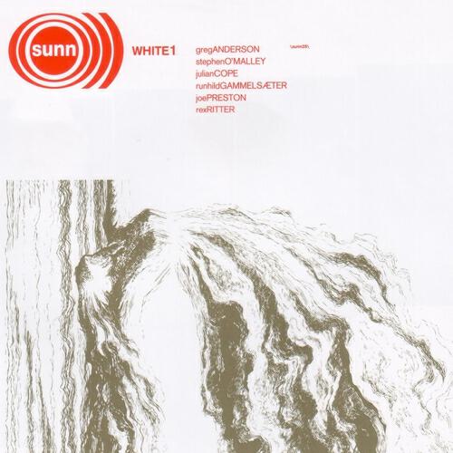 Sunn O))) - A Shaving of the Horn That Speared You