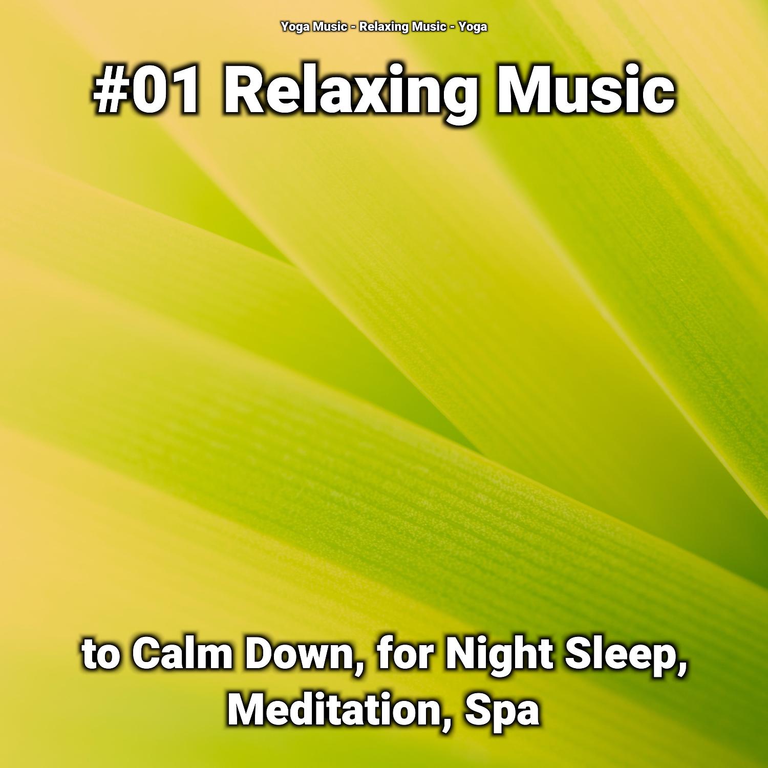 Постер альбома #01 Relaxing Music to Calm Down, for Night Sleep, Meditation, Spa