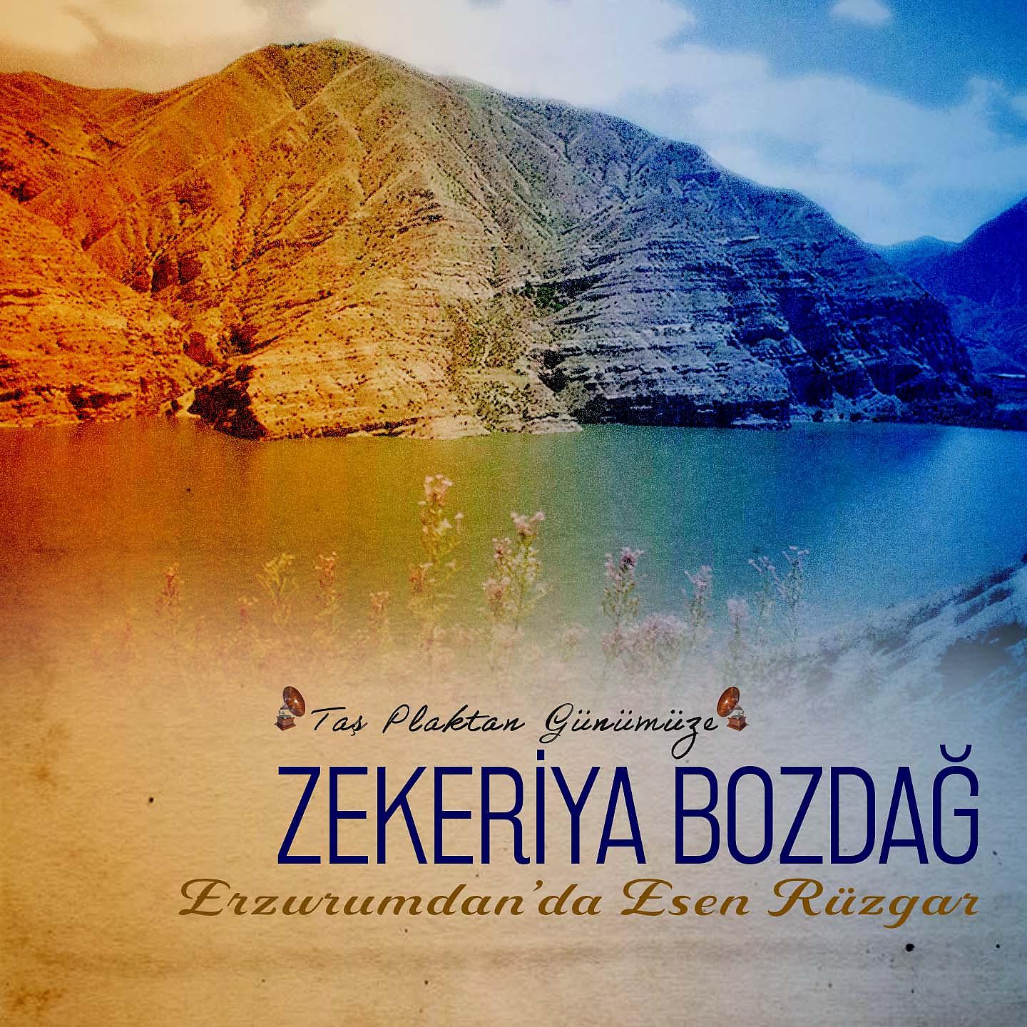 Постер альбома Erzurumdan'da Esen Rüzgar