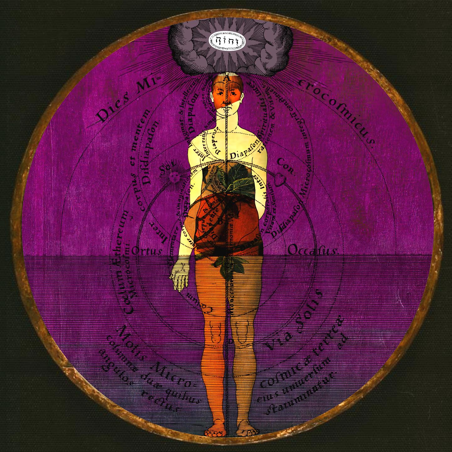 Постер альбома Omnia Sanctus