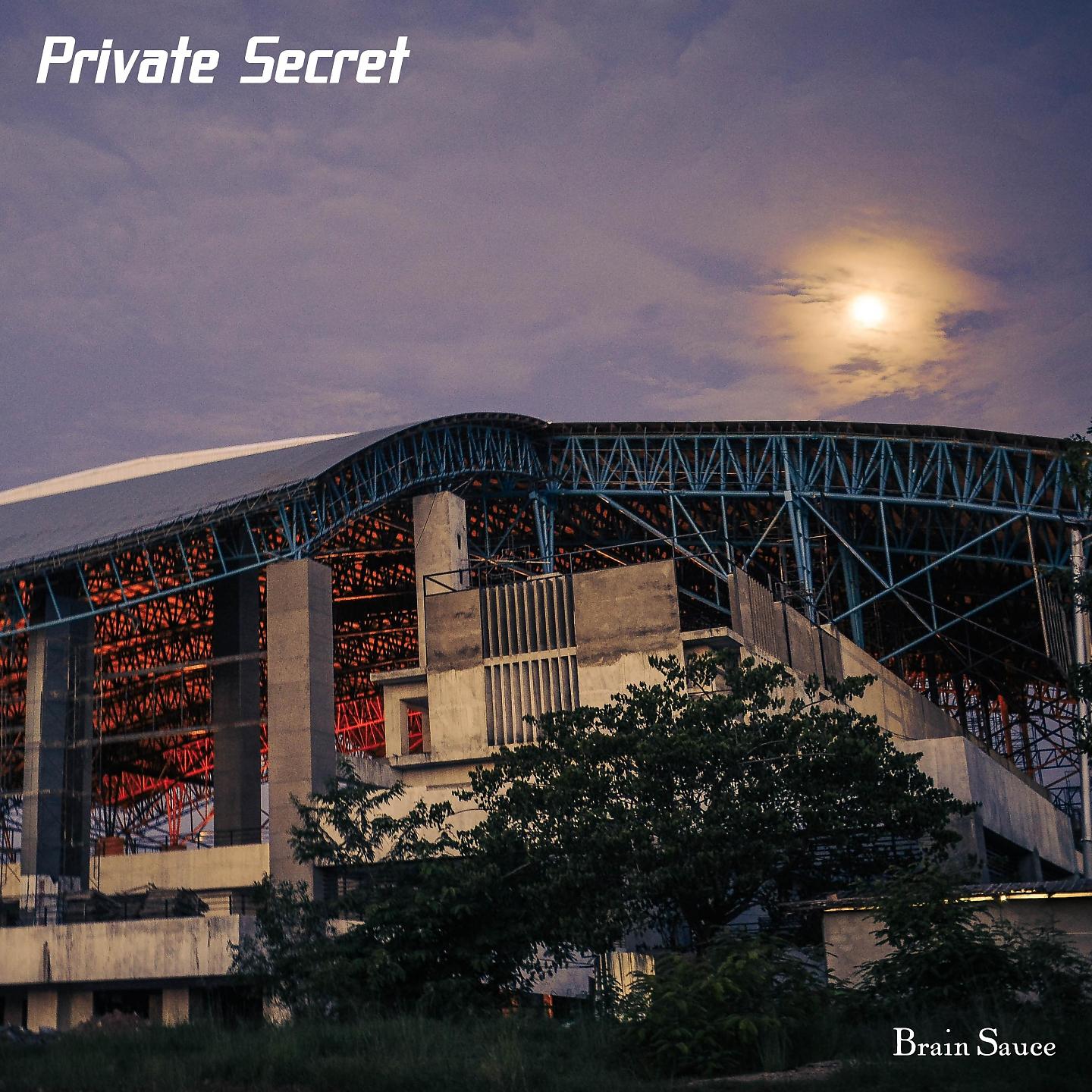 Постер альбома Private Secret