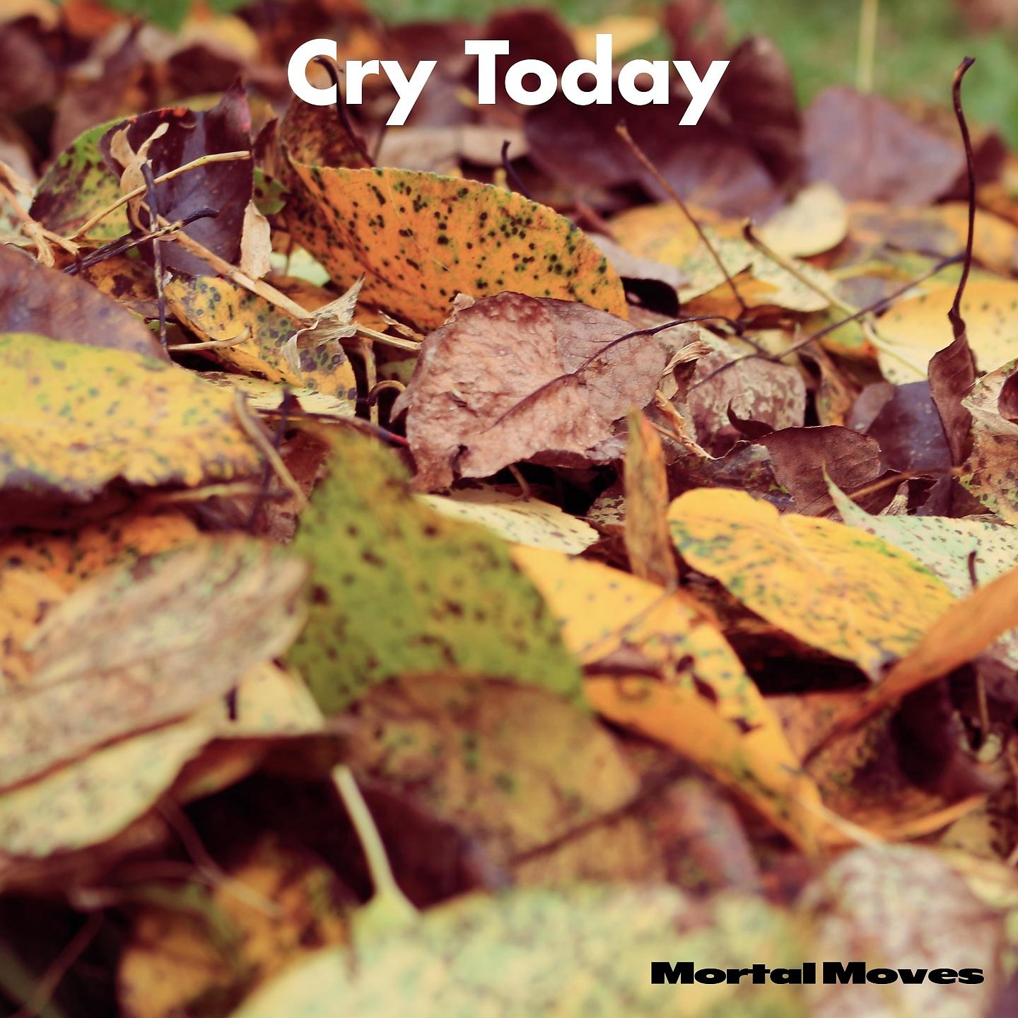 Постер альбома Cry Today