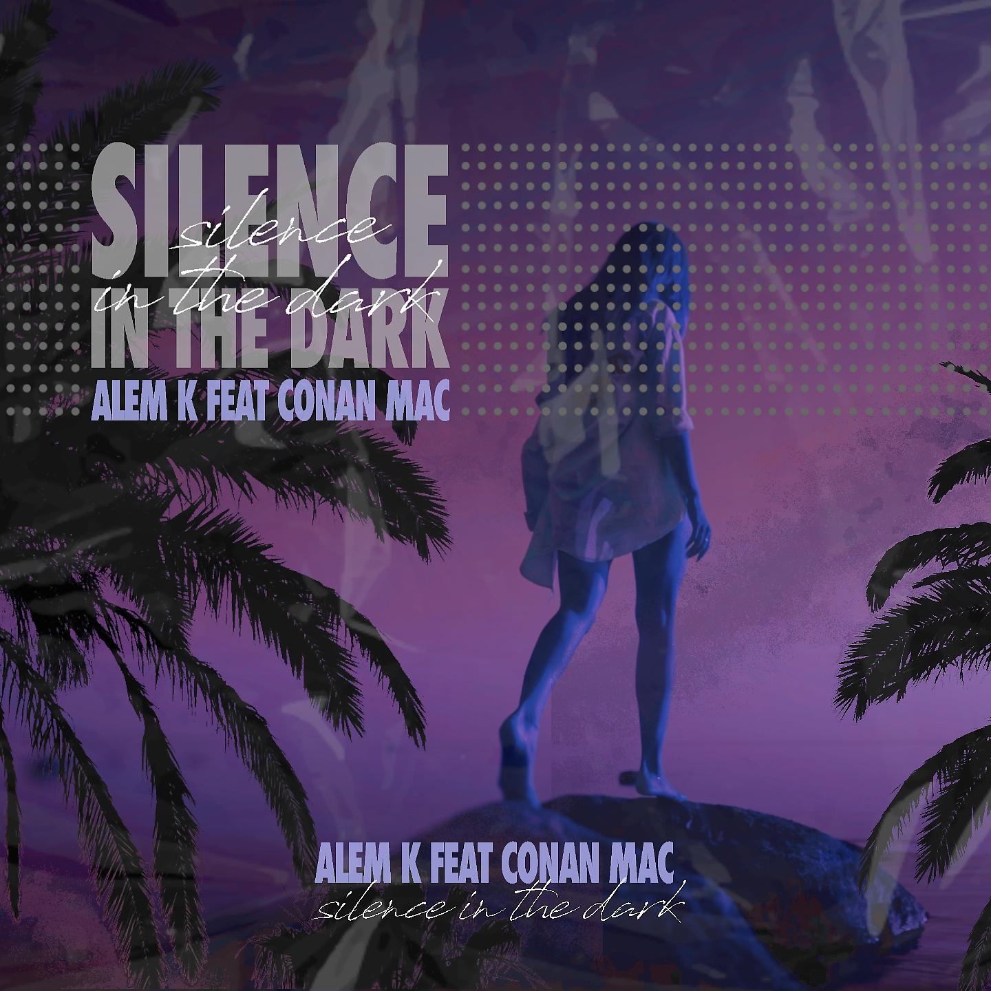 Постер альбома Silence In The Dark