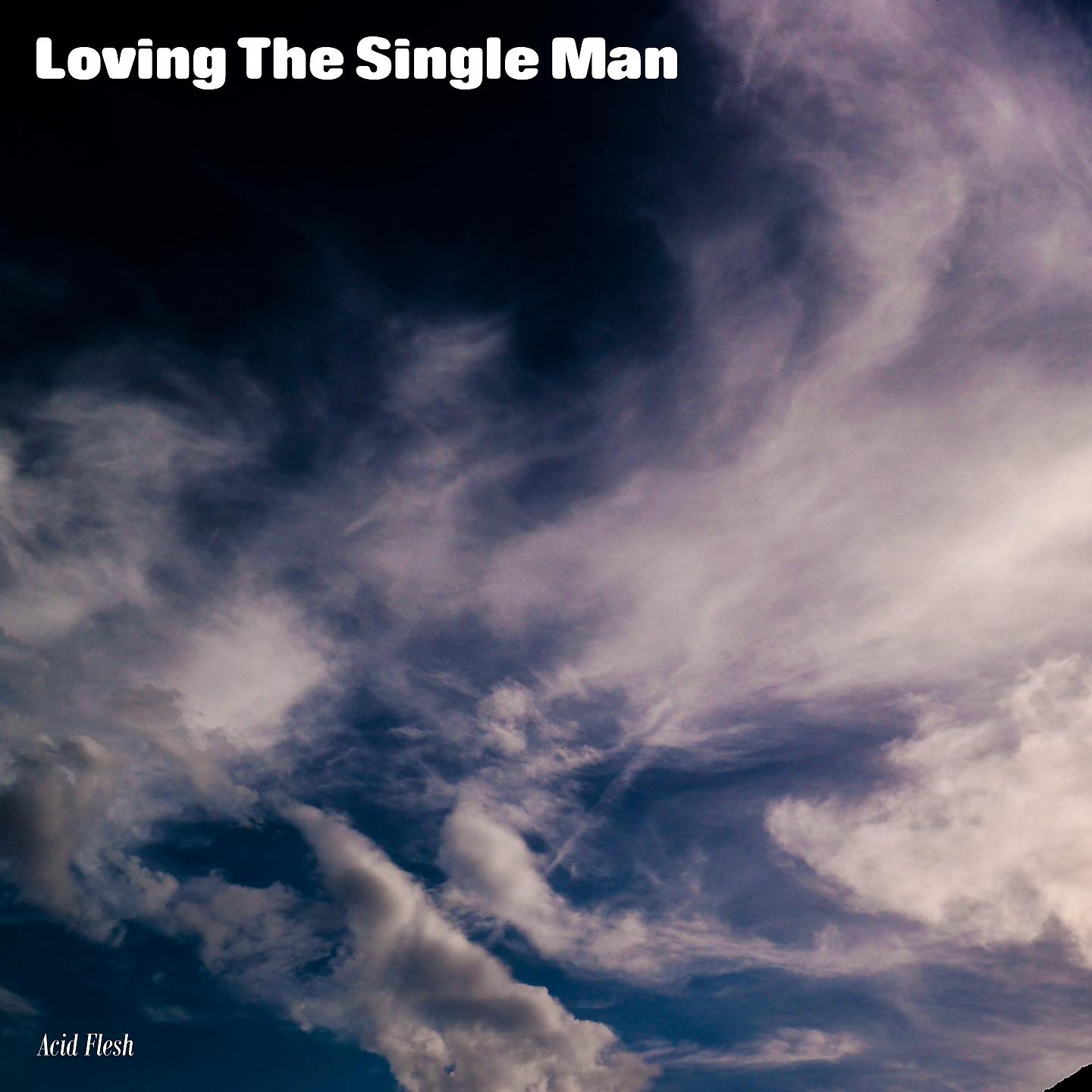 Постер альбома Loving The Single Man
