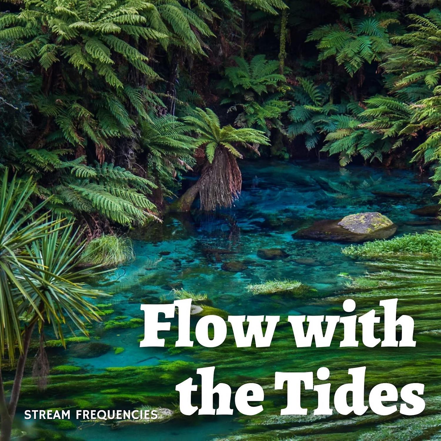Постер альбома Stream Frequencies: Flow with the Tides