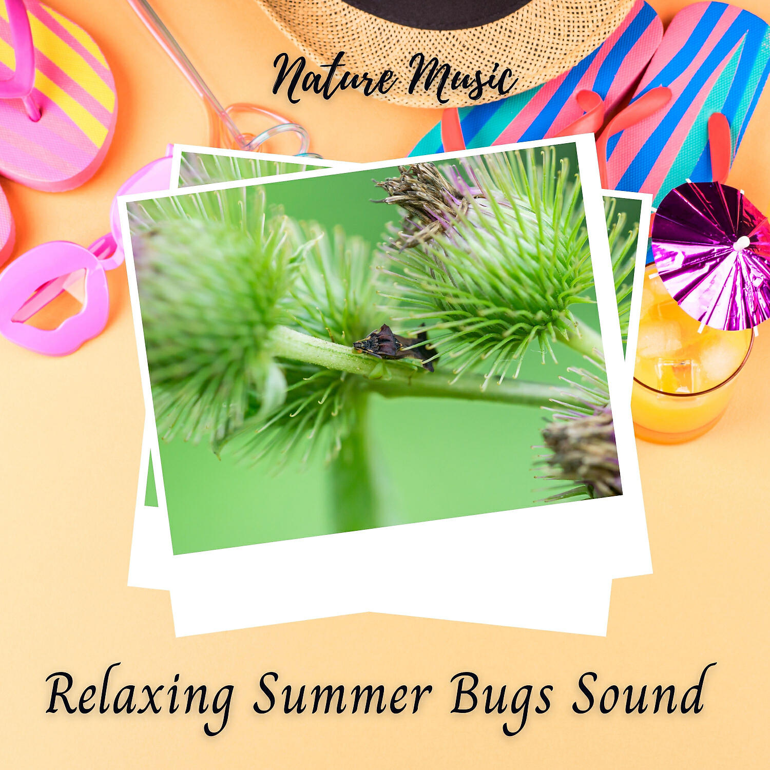 Sounds Of Nature Relaxation - Summer afternoon