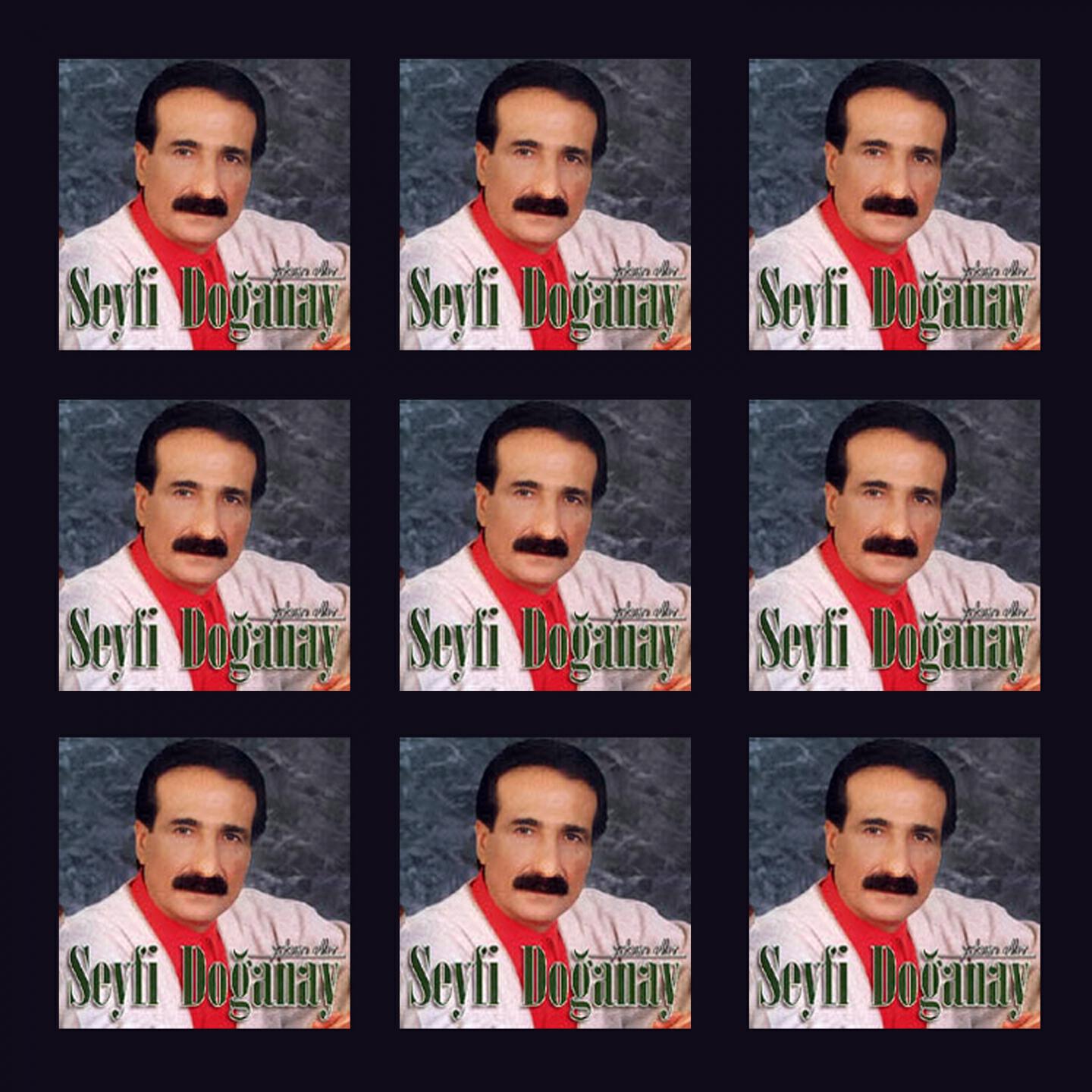 Seyfi Doğanay - Yaban Eller